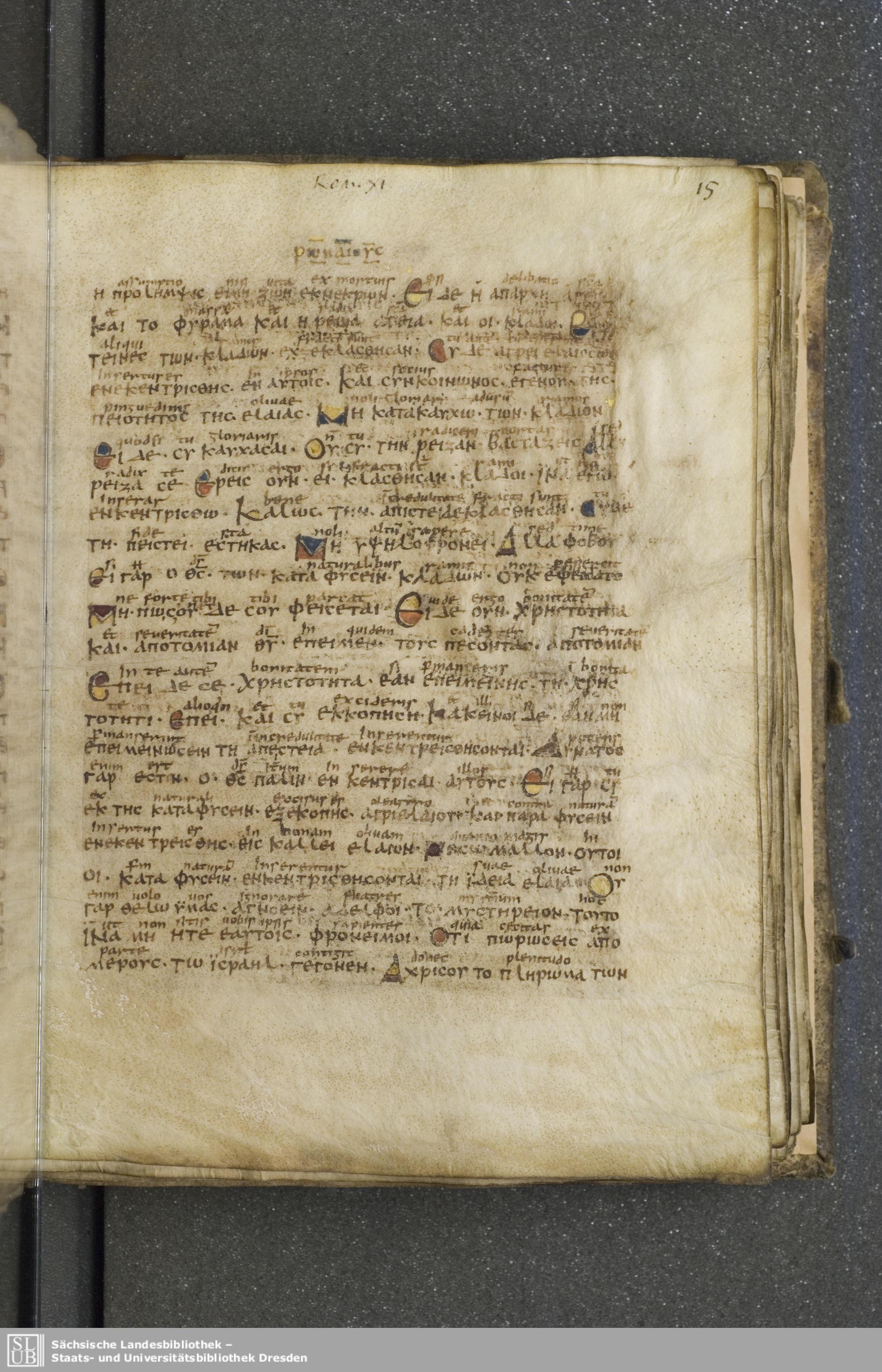 Codex Boernerianus showing Romans 11:23 from 9th Century found in Abbey of St. Gall, Switzerland, currently housed at Saxon State Library, Dresden, Germany