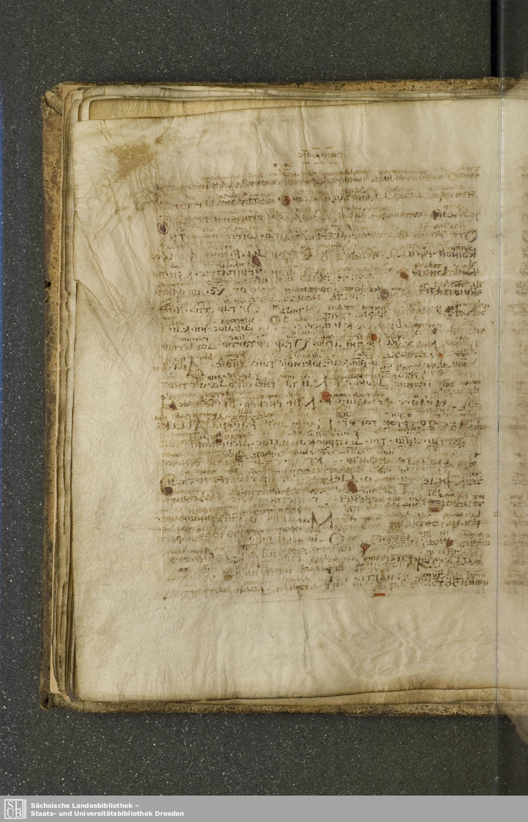 Codex Boernerianus showing Romans 14:2 from 9th Century found in Abbey of St. Gall, Switzerland, currently housed at Saxon State Library, Dresden, Germany