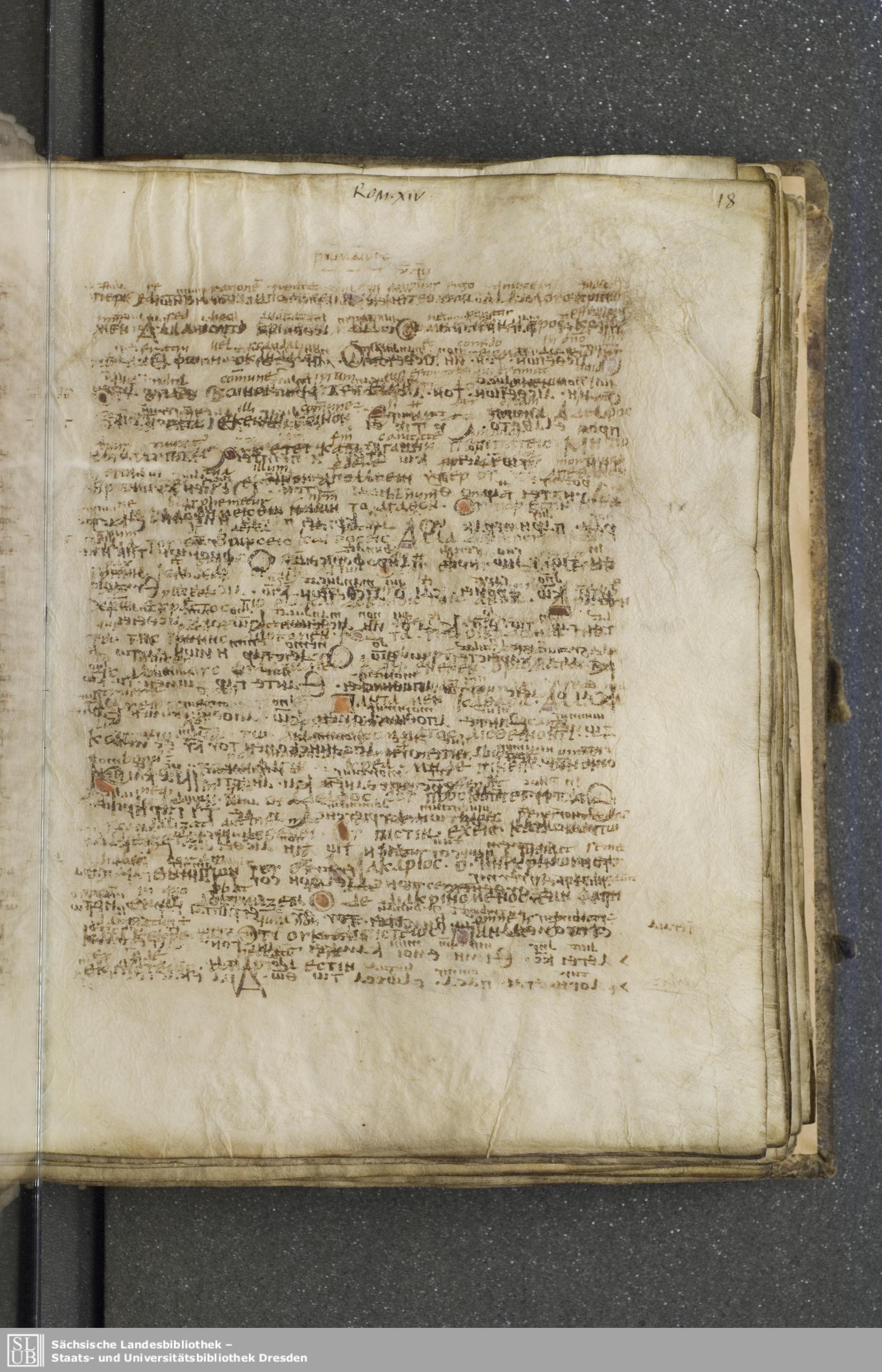 Codex Boernerianus showing Romans 14:21 from 9th Century found in Abbey of St. Gall, Switzerland, currently housed at Saxon State Library, Dresden, Germany