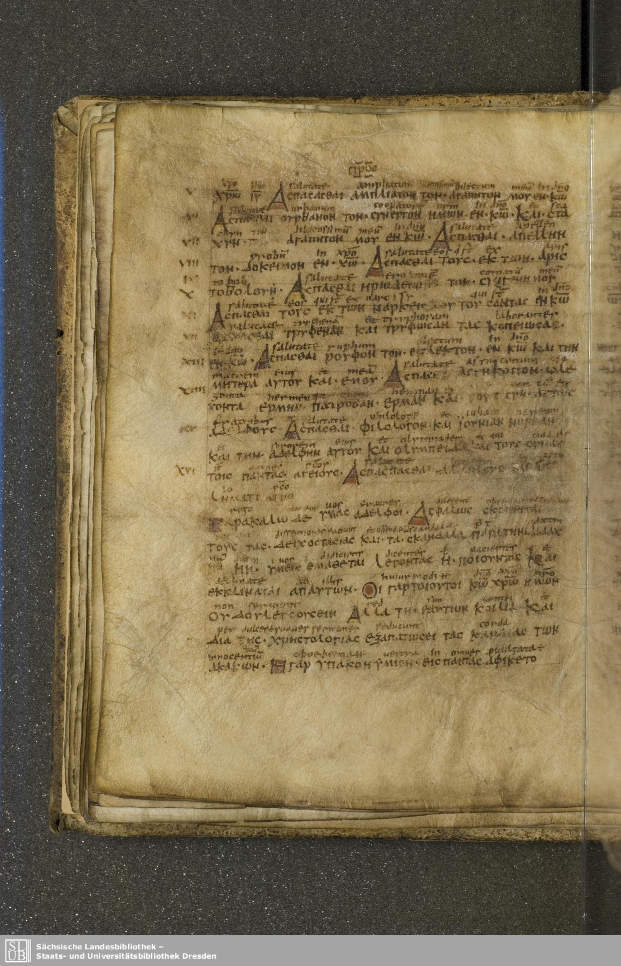 Codex Boernerianus showing Romans 16:13 from 9th Century found in Abbey of St. Gall, Switzerland, currently housed at Saxon State Library, Dresden, Germany