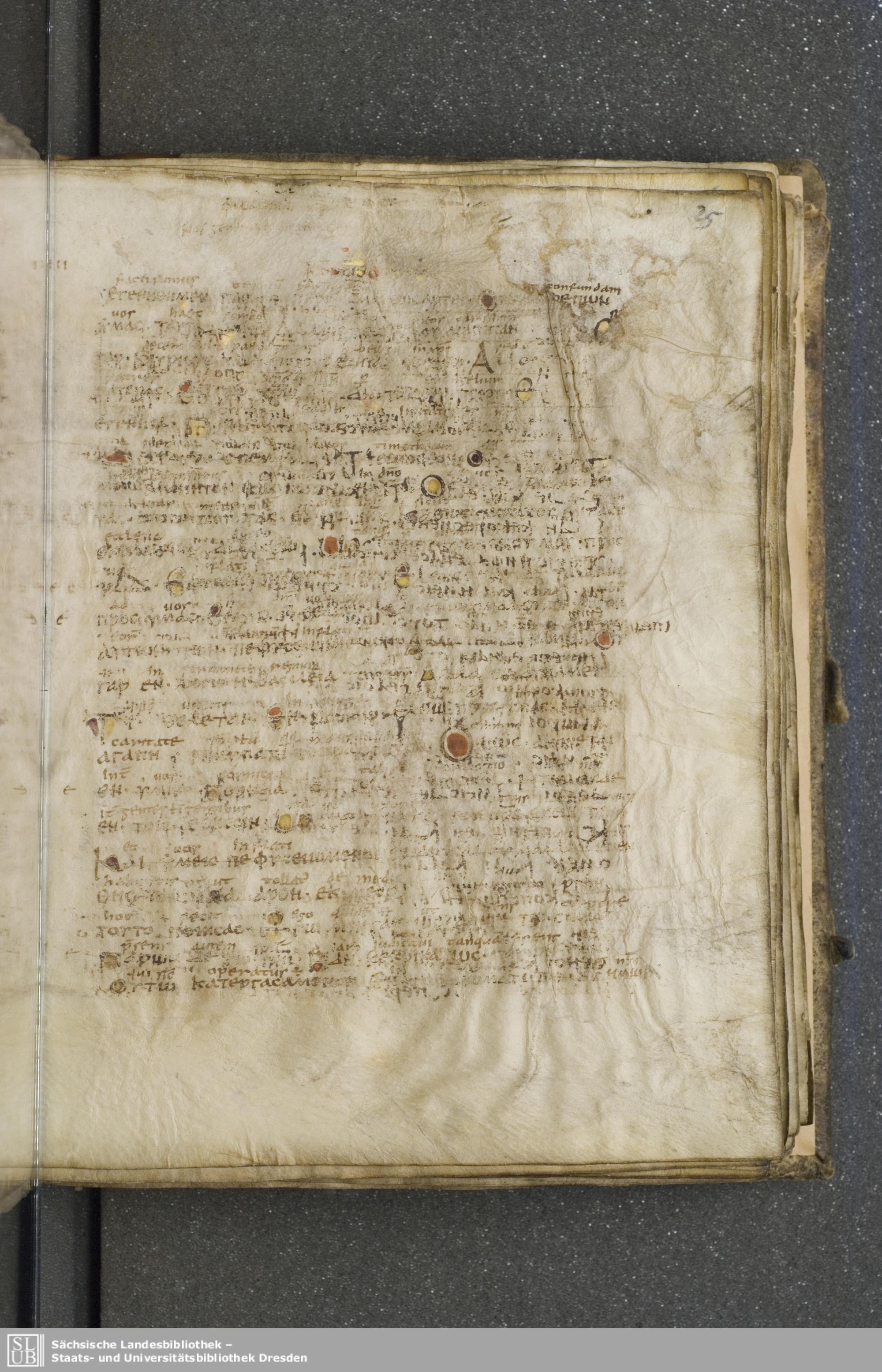 Codex Boernerianus (Scan 2) showing 1 Corinthians 4:13 from 9th Century found in Abbey of St. Gall, Switzerland, currently housed at Saxon State Library, Dresden, Germany