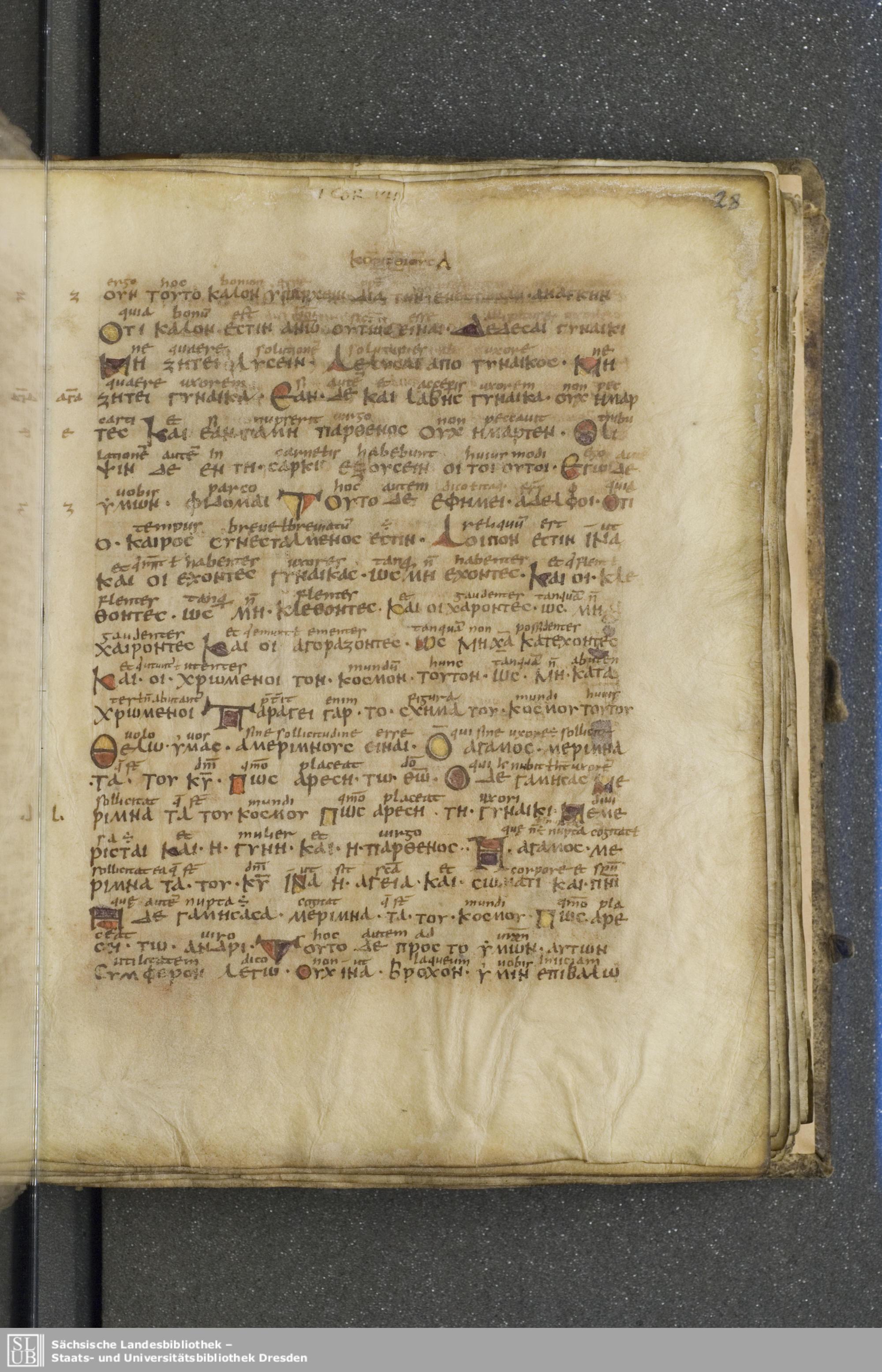 Codex Boernerianus showing 1 Corinthians 7:32 from 9th Century found in Abbey of St. Gall, Switzerland, currently housed at Saxon State Library, Dresden, Germany