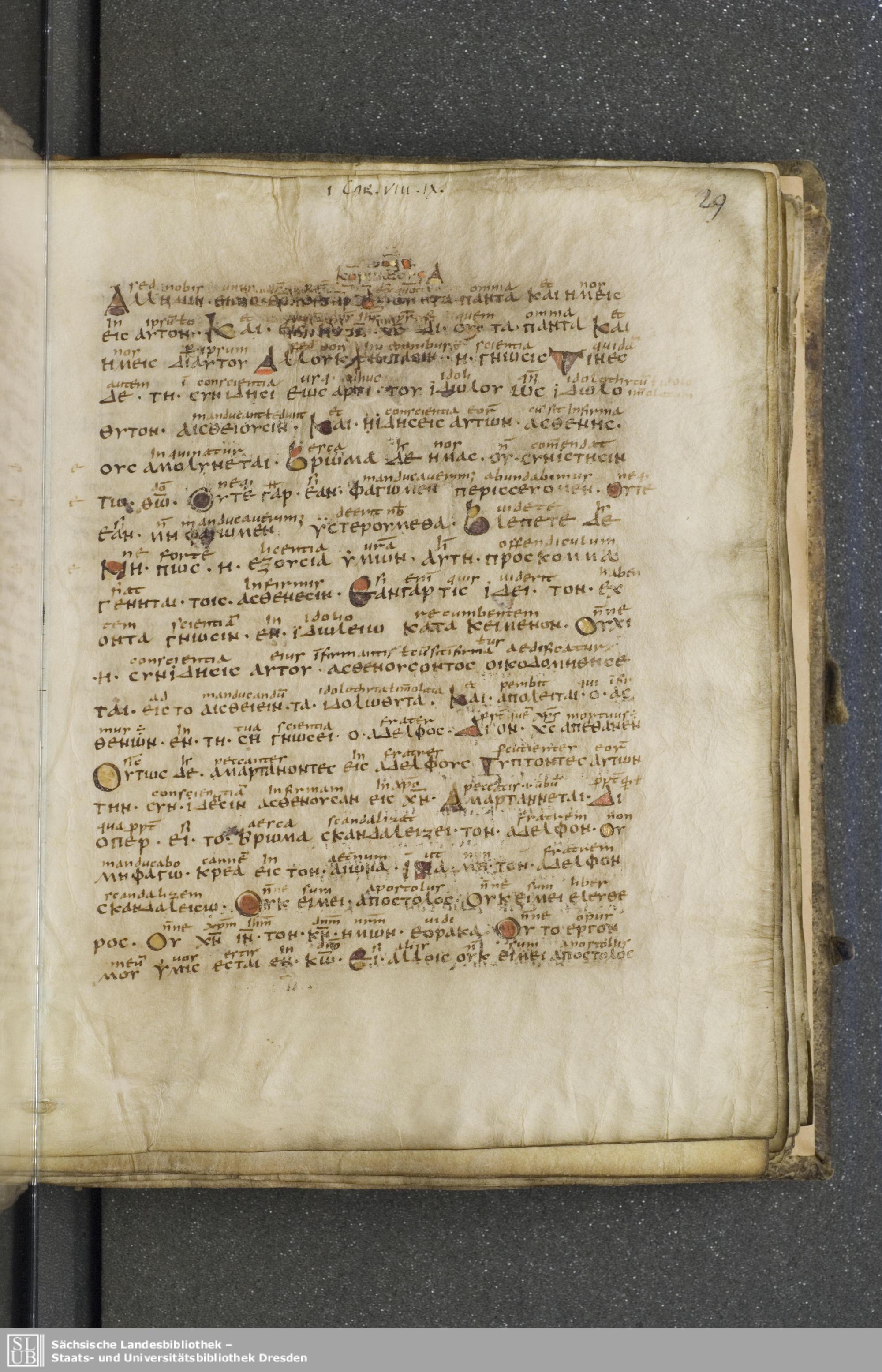 Codex Boernerianus showing 1 Corinthians 8:13 from 9th Century found in Abbey of St. Gall, Switzerland, currently housed at Saxon State Library, Dresden, Germany