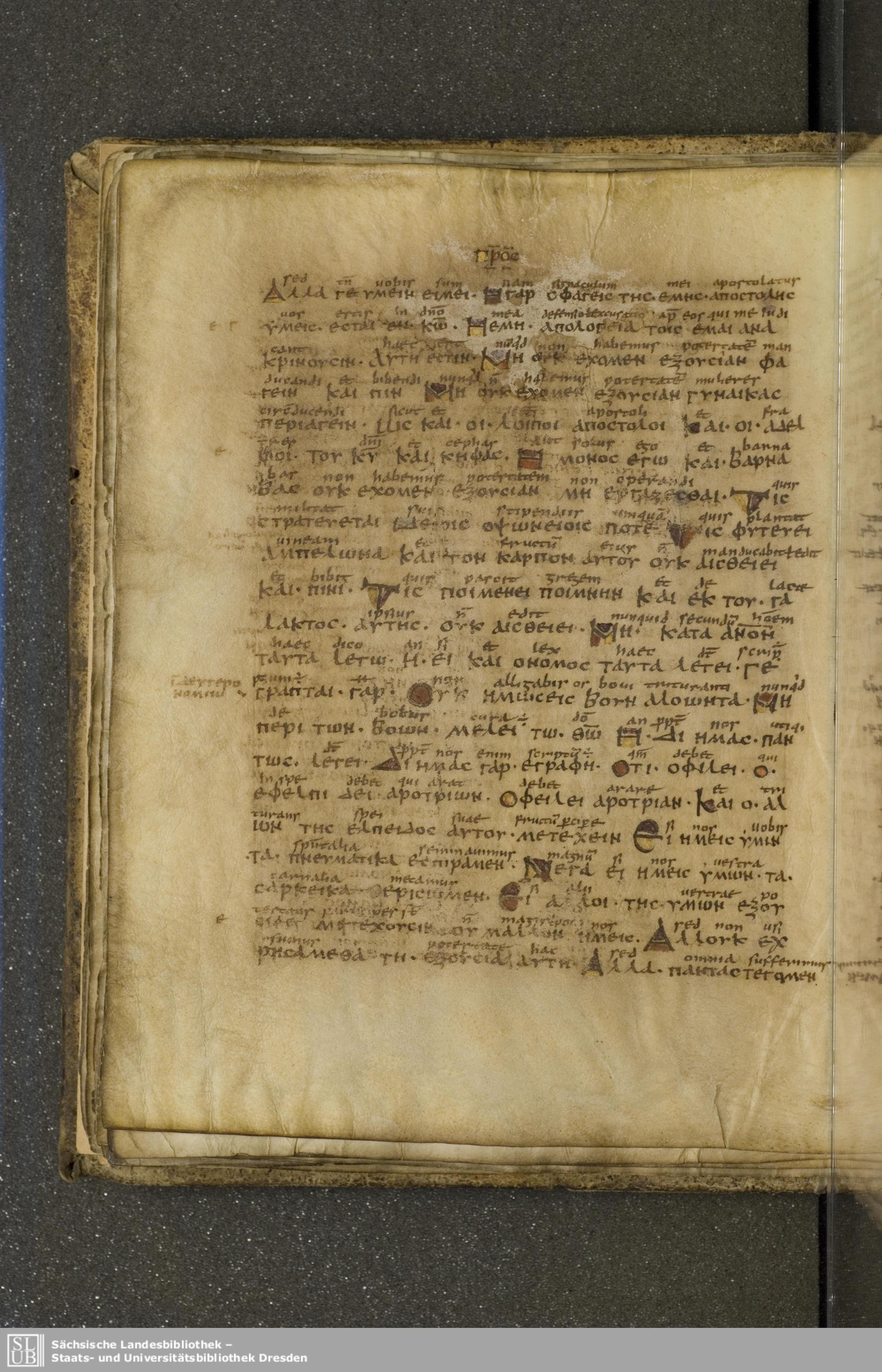 Codex Boernerianus (Scan 2) showing 1 Corinthians 9:2 from 9th Century found in Abbey of St. Gall, Switzerland, currently housed at Saxon State Library, Dresden, Germany