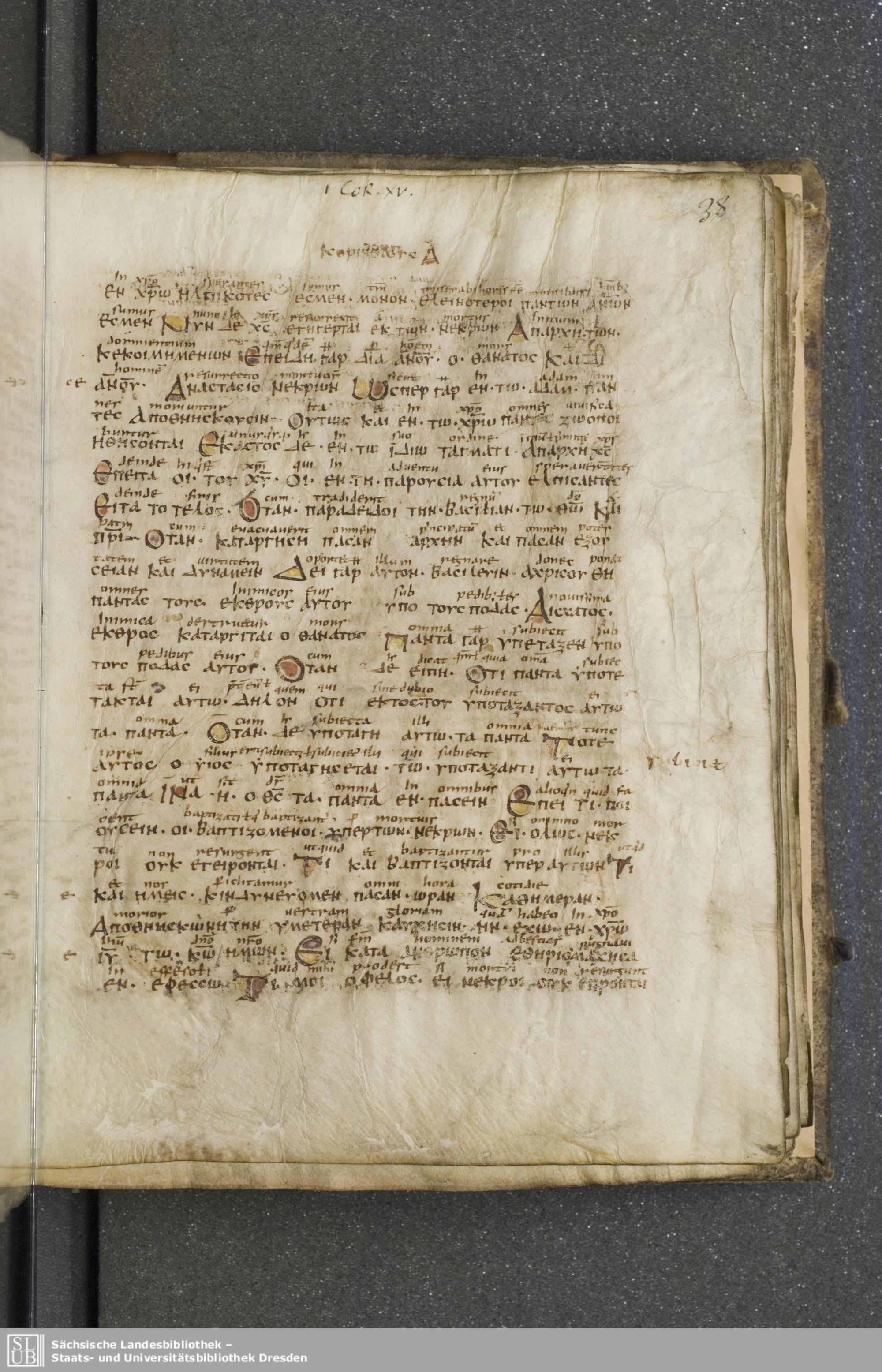 Codex Boernerianus showing 1 Corinthians 15:21 from 9th Century found in Abbey of St. Gall, Switzerland, currently housed at Saxon State Library, Dresden, Germany