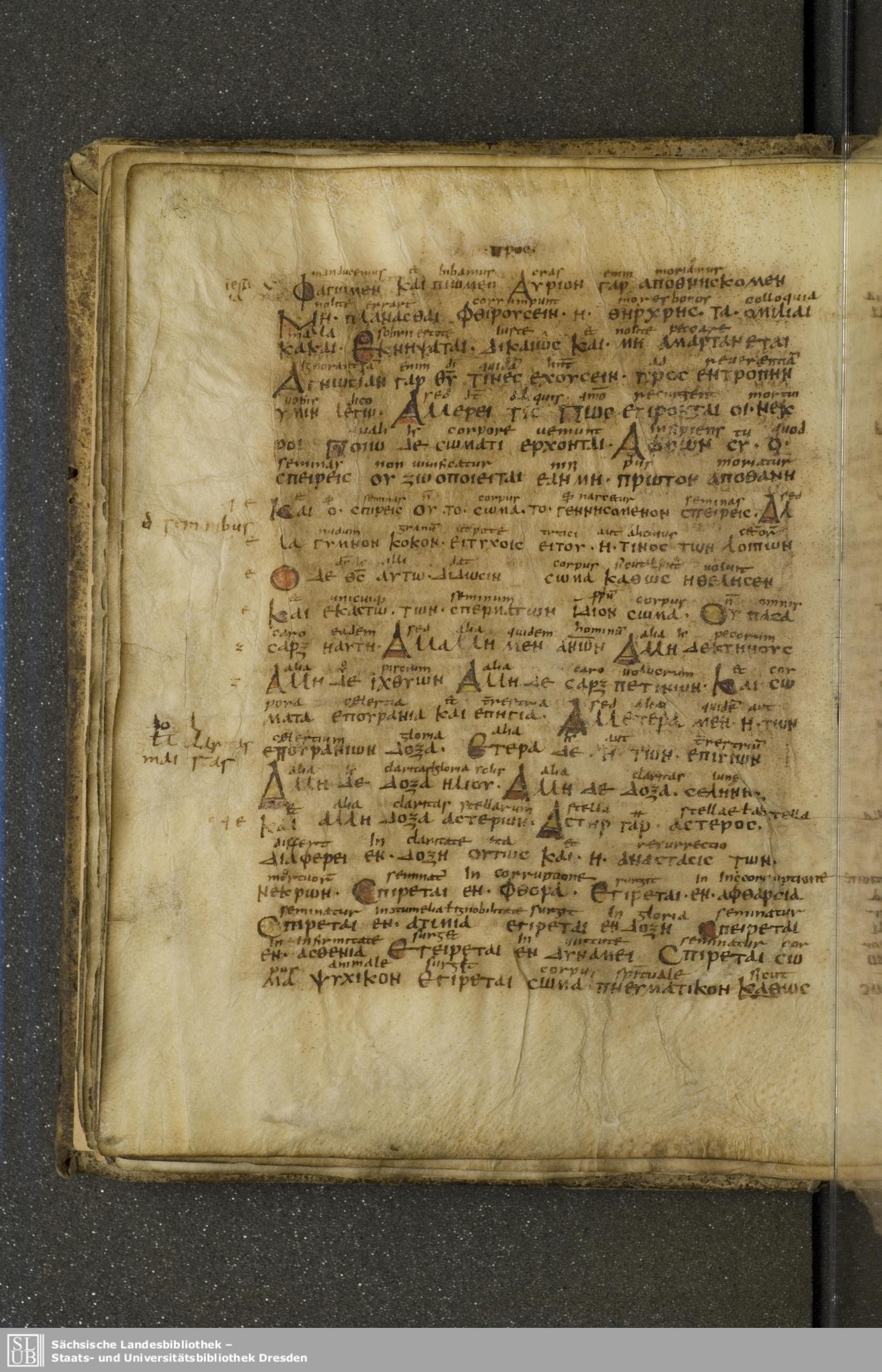 Codex Boernerianus showing 1 Corinthians 15:32 from 9th Century found in Abbey of St. Gall, Switzerland, currently housed at Saxon State Library, Dresden, Germany