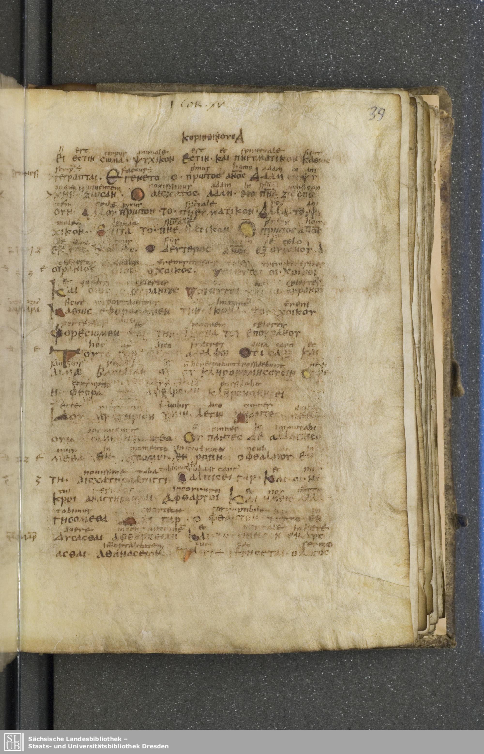 Codex Boernerianus showing 1 Corinthians 15:49 from 9th Century found in Abbey of St. Gall, Switzerland, currently housed at Saxon State Library, Dresden, Germany