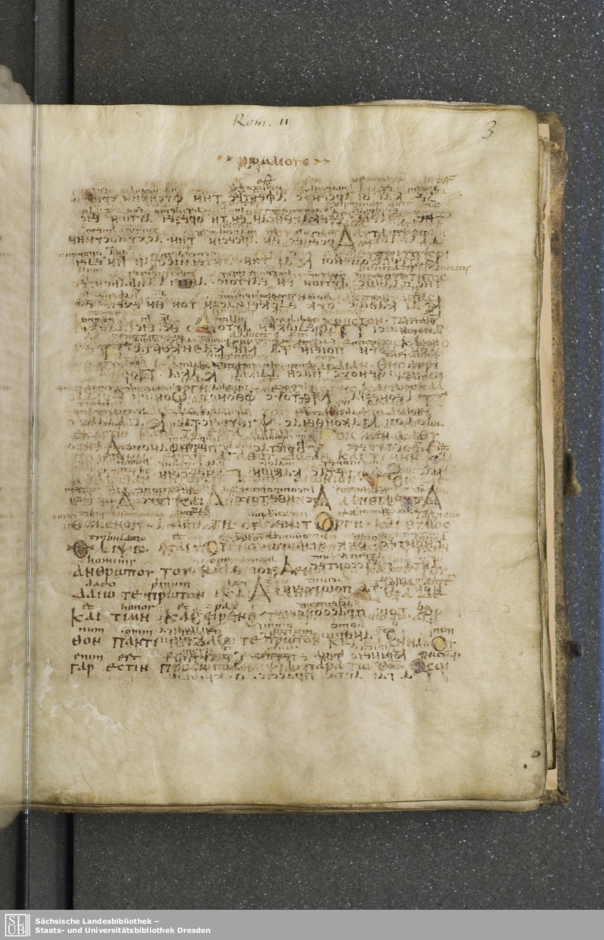 Codex Boernerianus showing Romans 2:7 from 9th Century found in Abbey of St. Gall, Switzerland, currently housed at Saxon State Library, Dresden, Germany