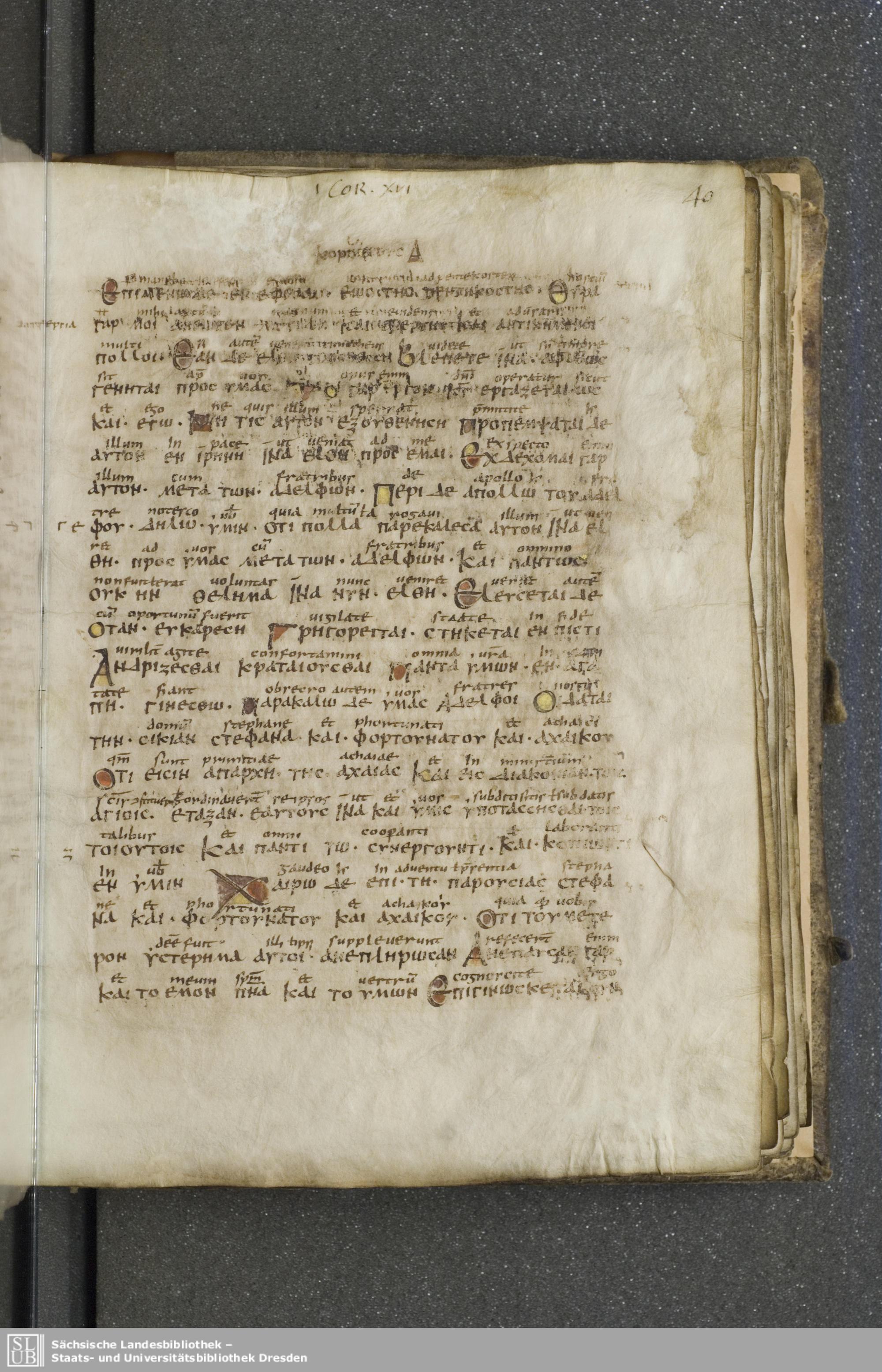 Codex Boernerianus (Scan 2) showing 1 Corinthians 16:7 from 9th Century found in Abbey of St. Gall, Switzerland, currently housed at Saxon State Library, Dresden, Germany
