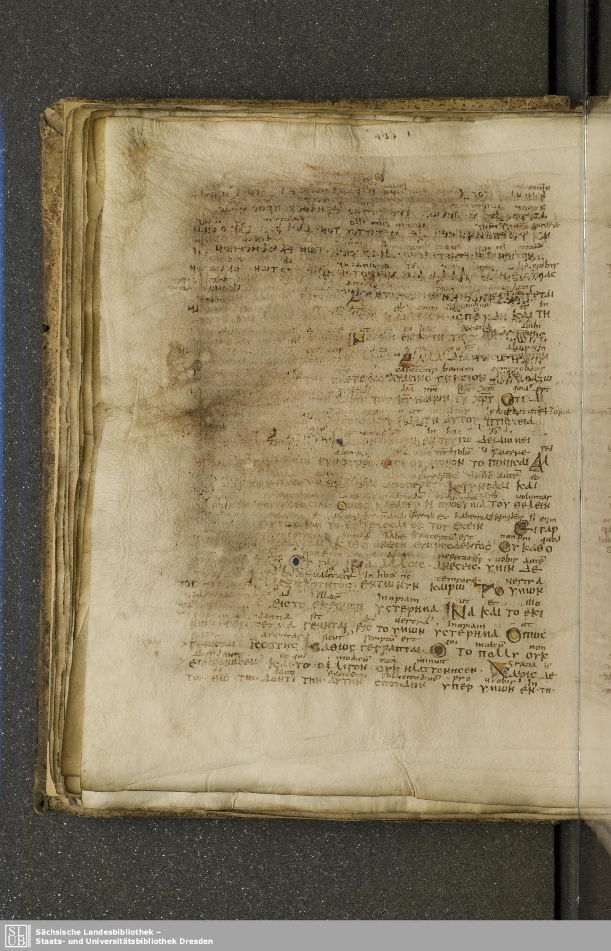 Codex Boernerianus showing 2 Corinthians 8:7 from 9th Century found in Abbey of St. Gall, Switzerland, currently housed at Saxon State Library, Dresden, Germany