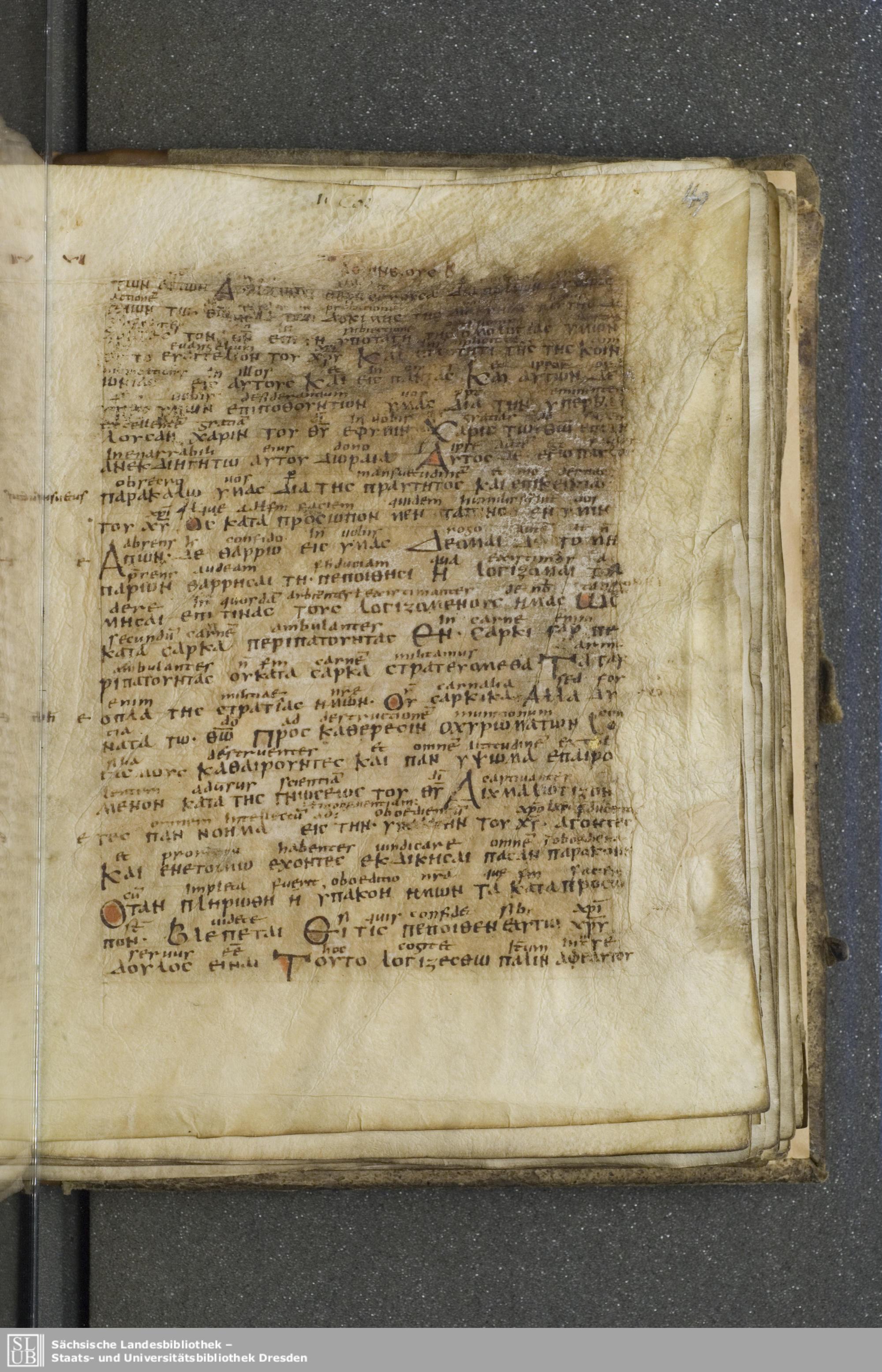 Codex Boernerianus showing 2 Corinthians 9:13 from 9th Century found in Abbey of St. Gall, Switzerland, currently housed at Saxon State Library, Dresden, Germany