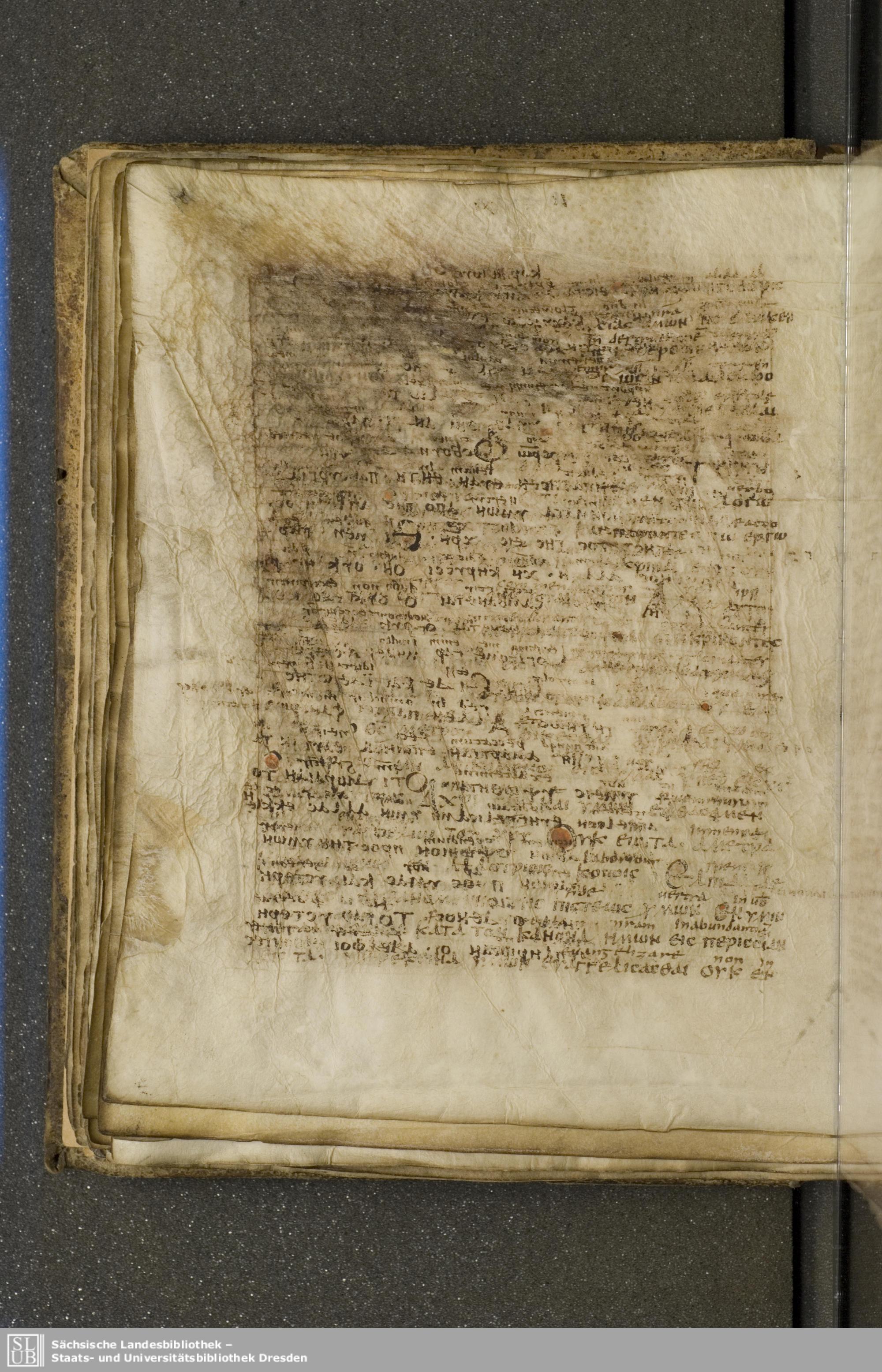 Codex Boernerianus showing 2 Corinthians 10:13 from 9th Century found in Abbey of St. Gall, Switzerland, currently housed at Saxon State Library, Dresden, Germany