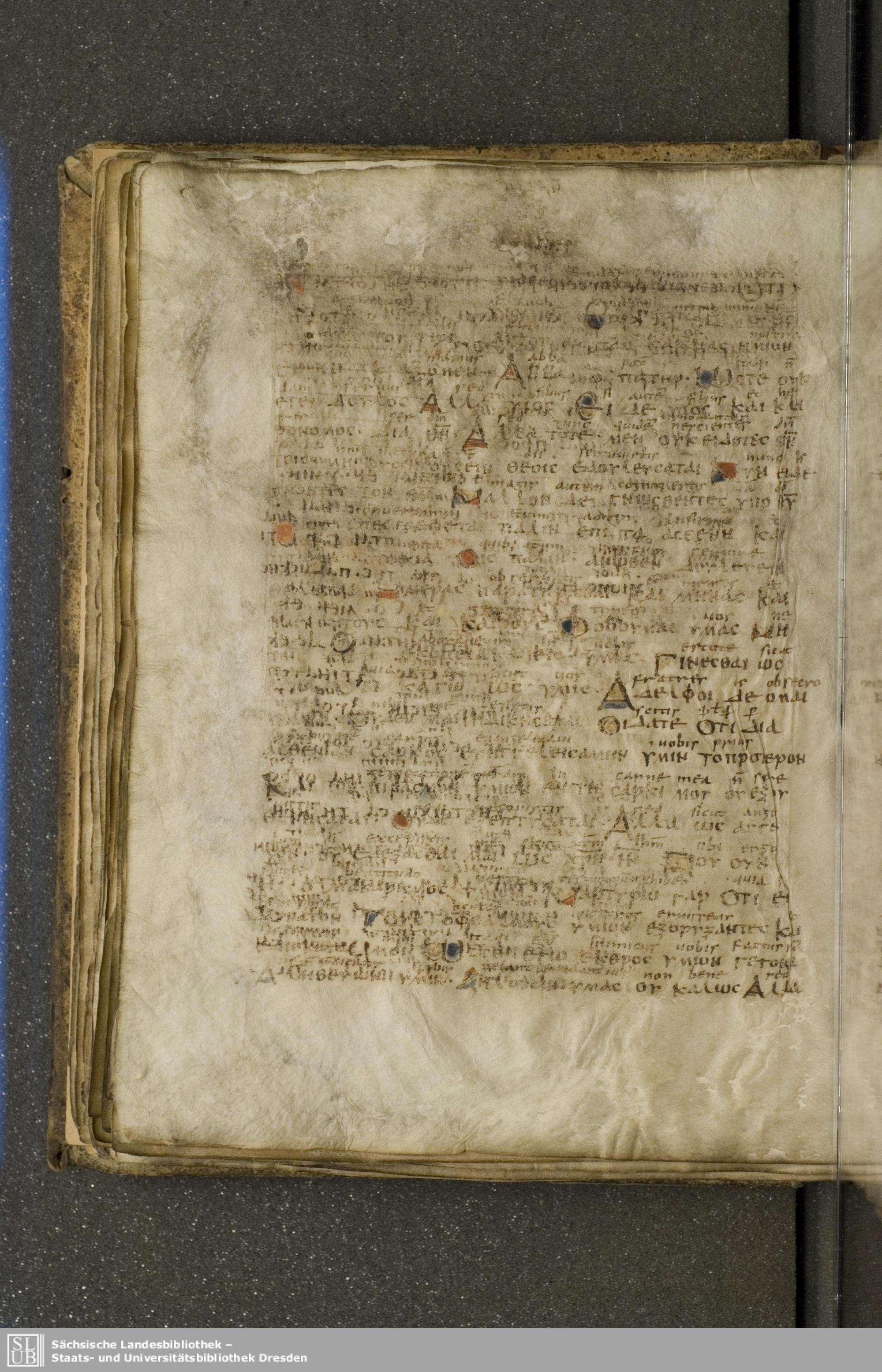 Codex Boernerianus showing Galatians 4:13 from 9th Century found in Abbey of St. Gall, Switzerland, currently housed at Saxon State Library, Dresden, Germany