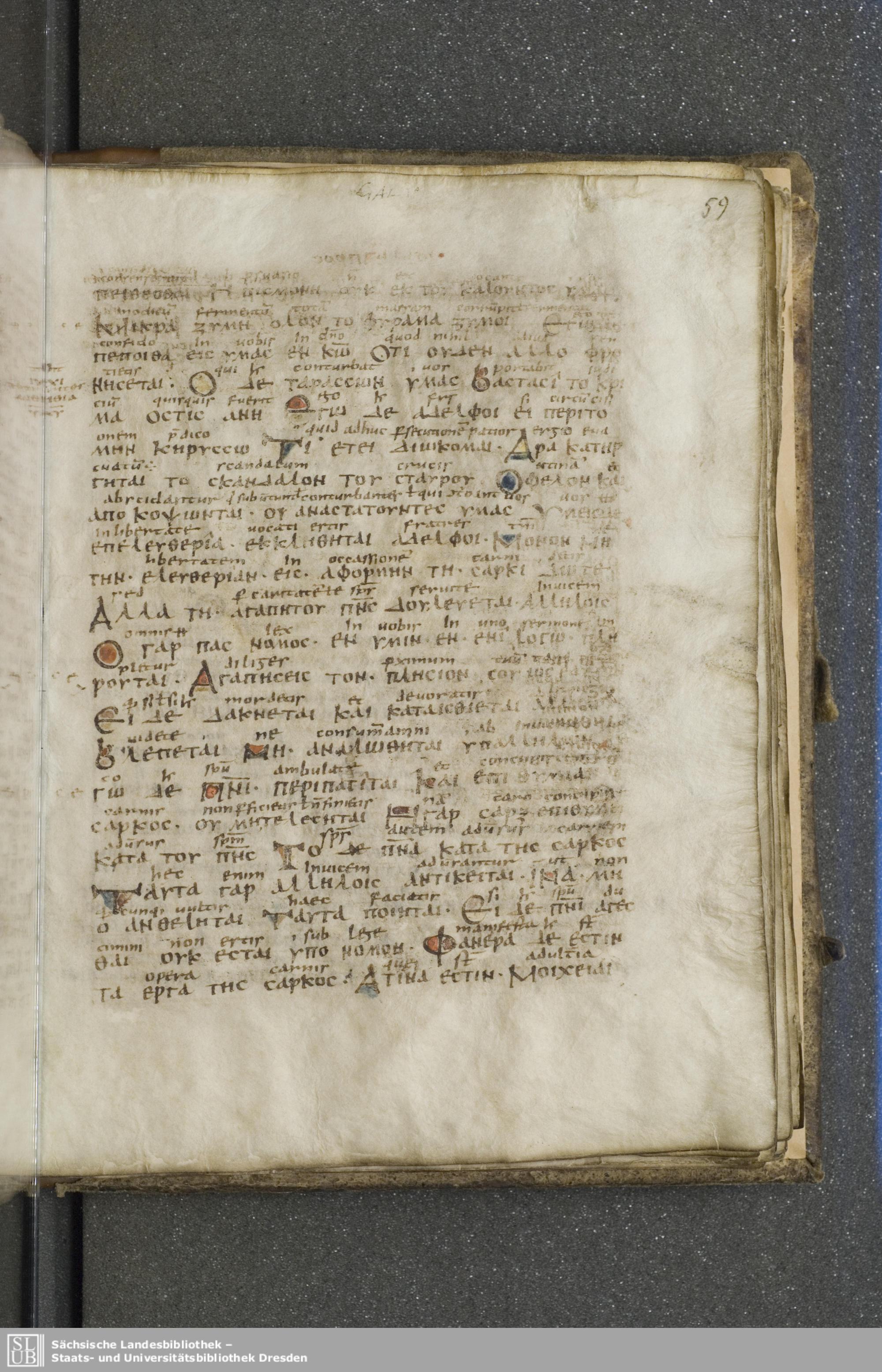 Codex Boernerianus (Scan 2) showing Galatians 5:7 from 9th Century found in Abbey of St. Gall, Switzerland, currently housed at Saxon State Library, Dresden, Germany