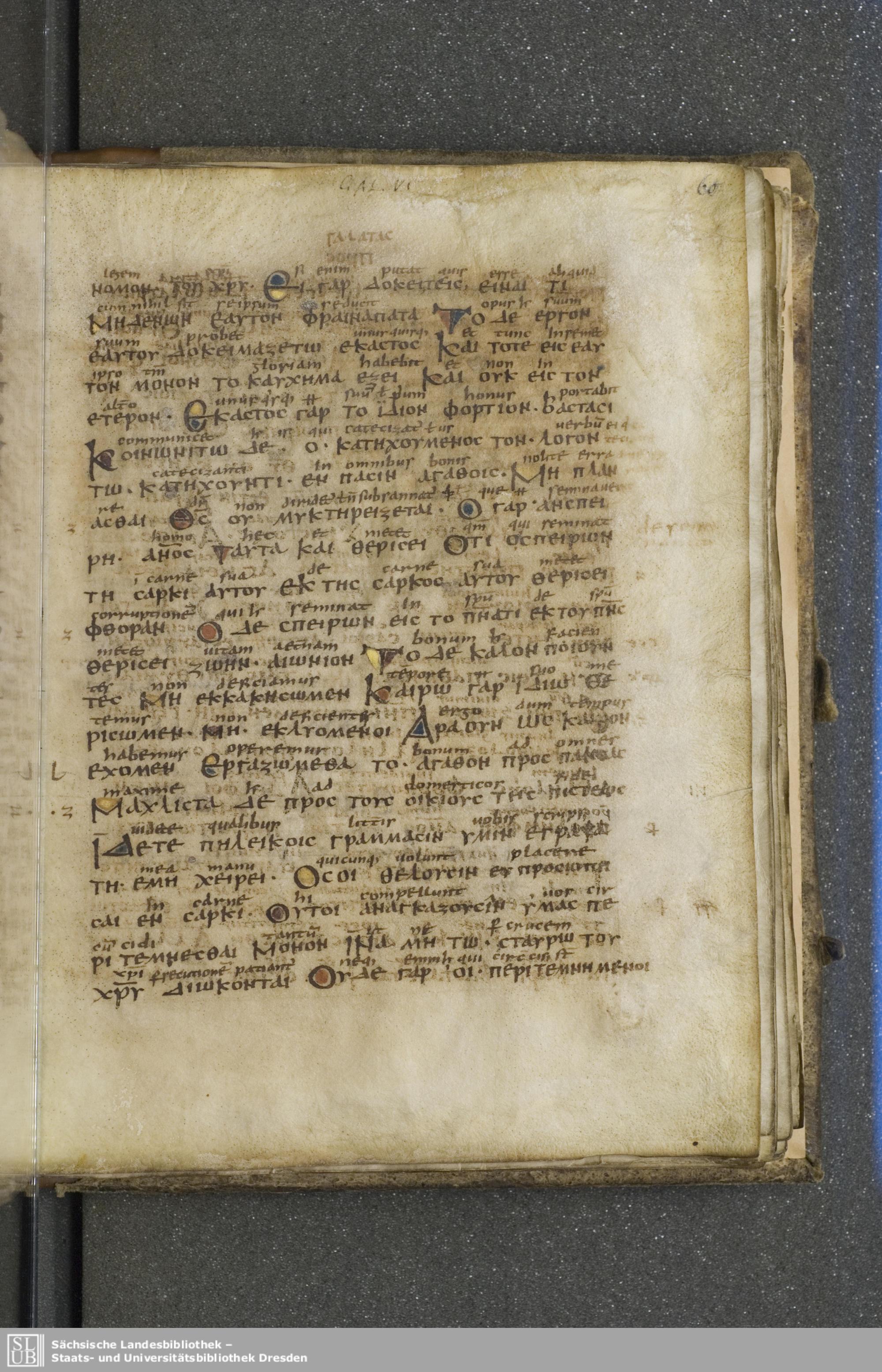 Codex Boernerianus showing Galatians 6:4 from 9th Century found in Abbey of St. Gall, Switzerland, currently housed at Saxon State Library, Dresden, Germany