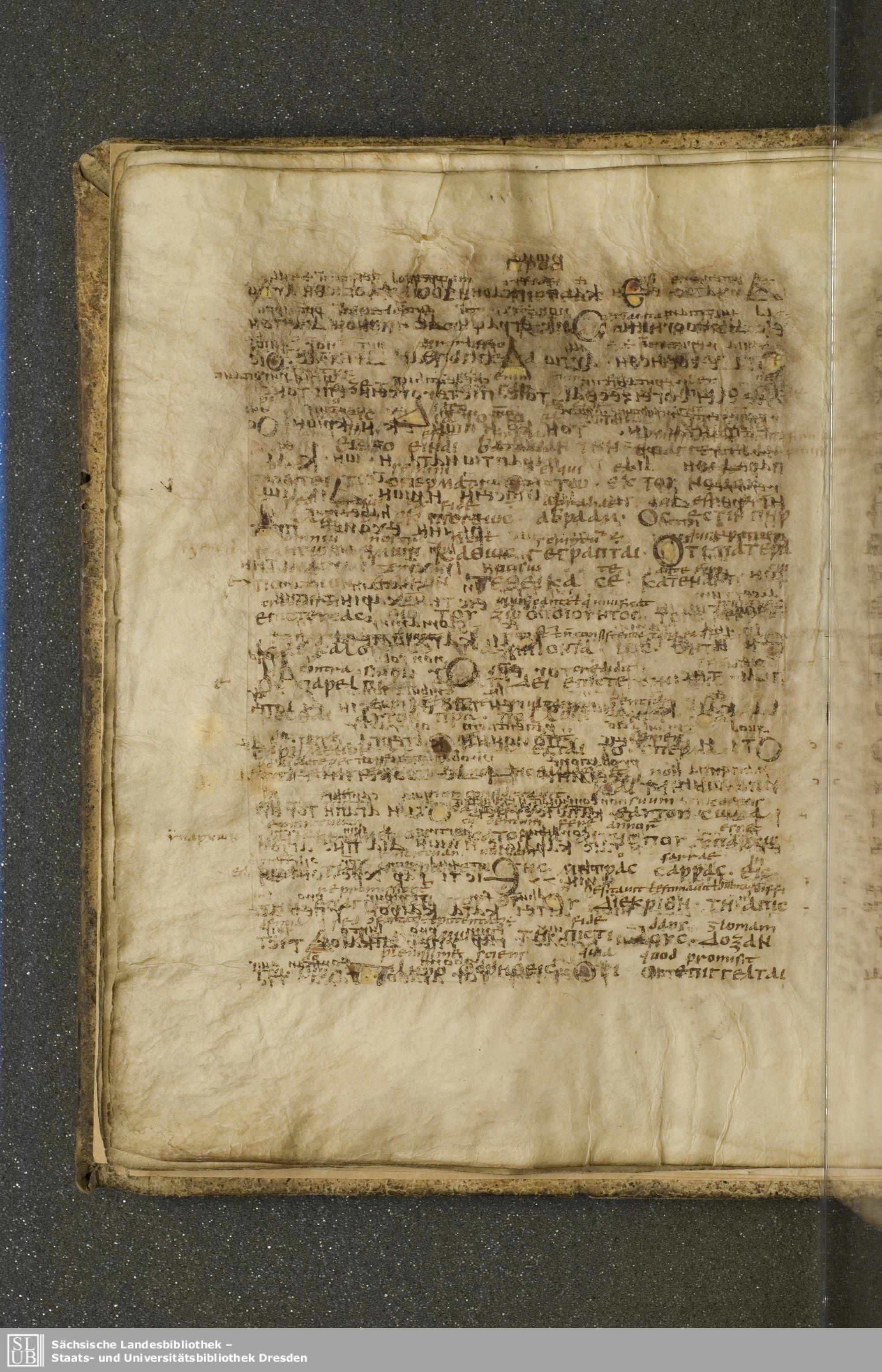 Codex Boernerianus (Scan 1) showing Romans 4:21 from 9th Century found in Abbey of St. Gall, Switzerland, currently housed at Saxon State Library, Dresden, Germany