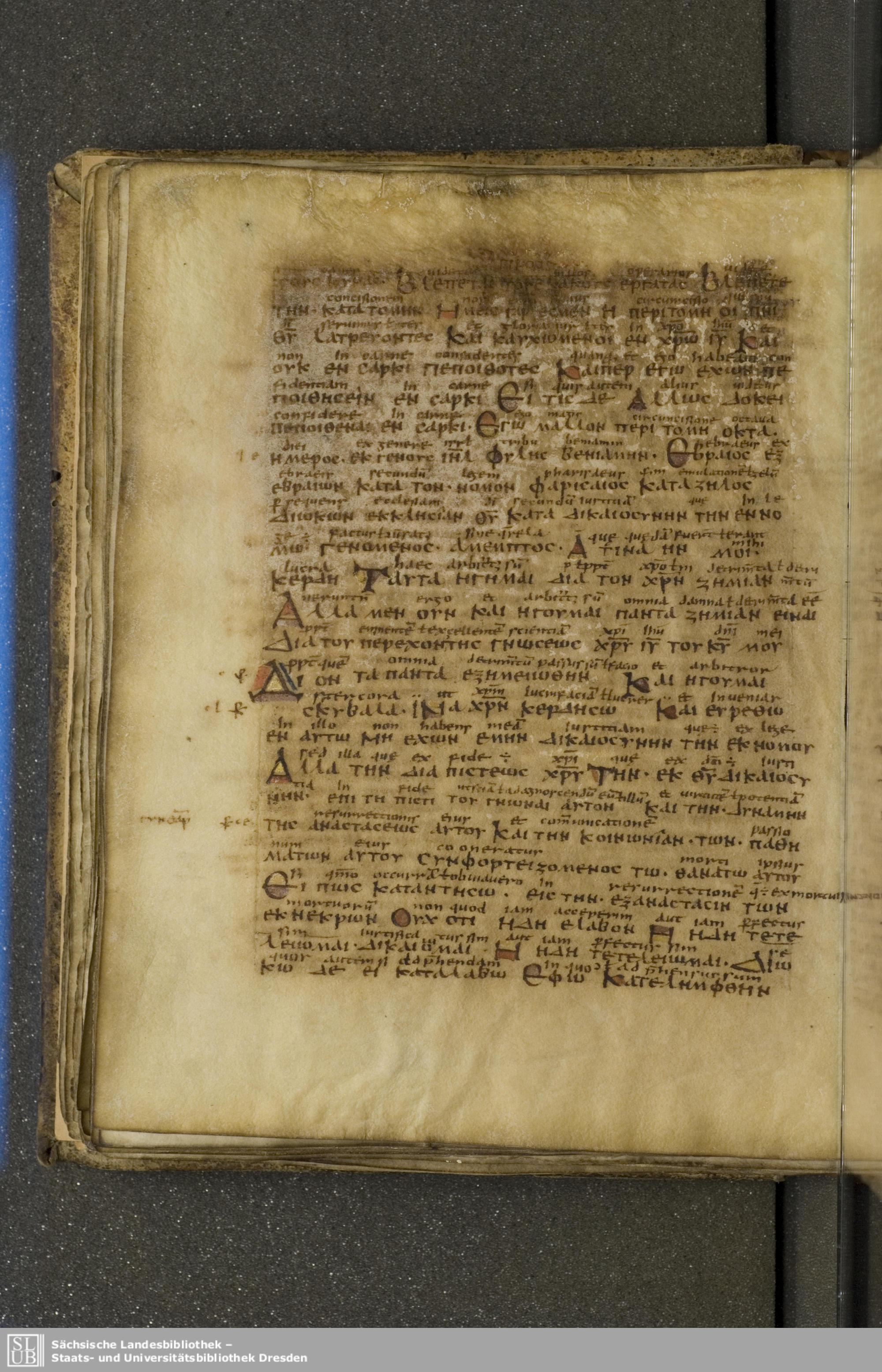 Codex Boernerianus showing Philippians 3:4 from 9th Century found in Abbey of St. Gall, Switzerland, currently housed at Saxon State Library, Dresden, Germany