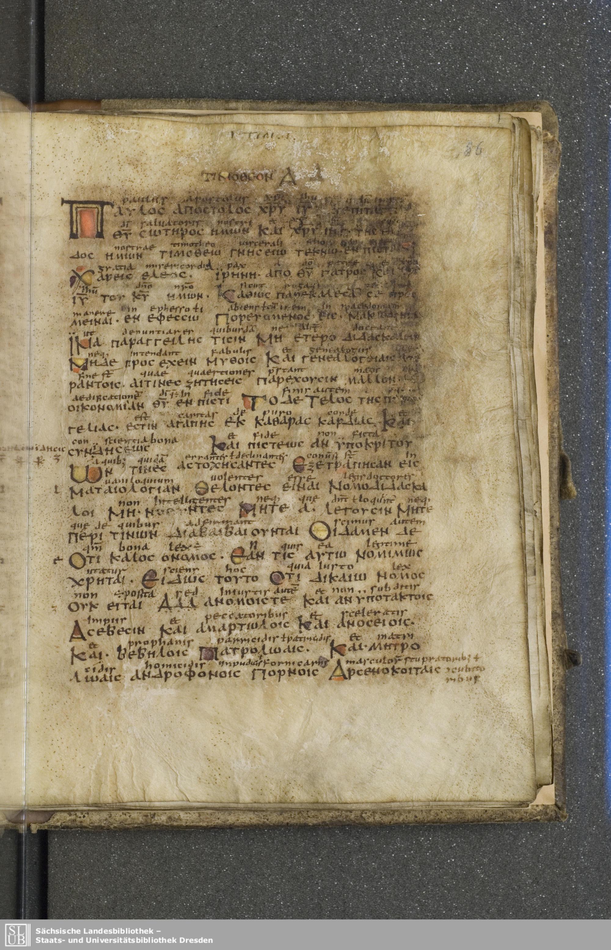 Codex Boernerianus showing 1 Timothy 1:2 from 9th Century found in Abbey of St. Gall, Switzerland, currently housed at Saxon State Library, Dresden, Germany
