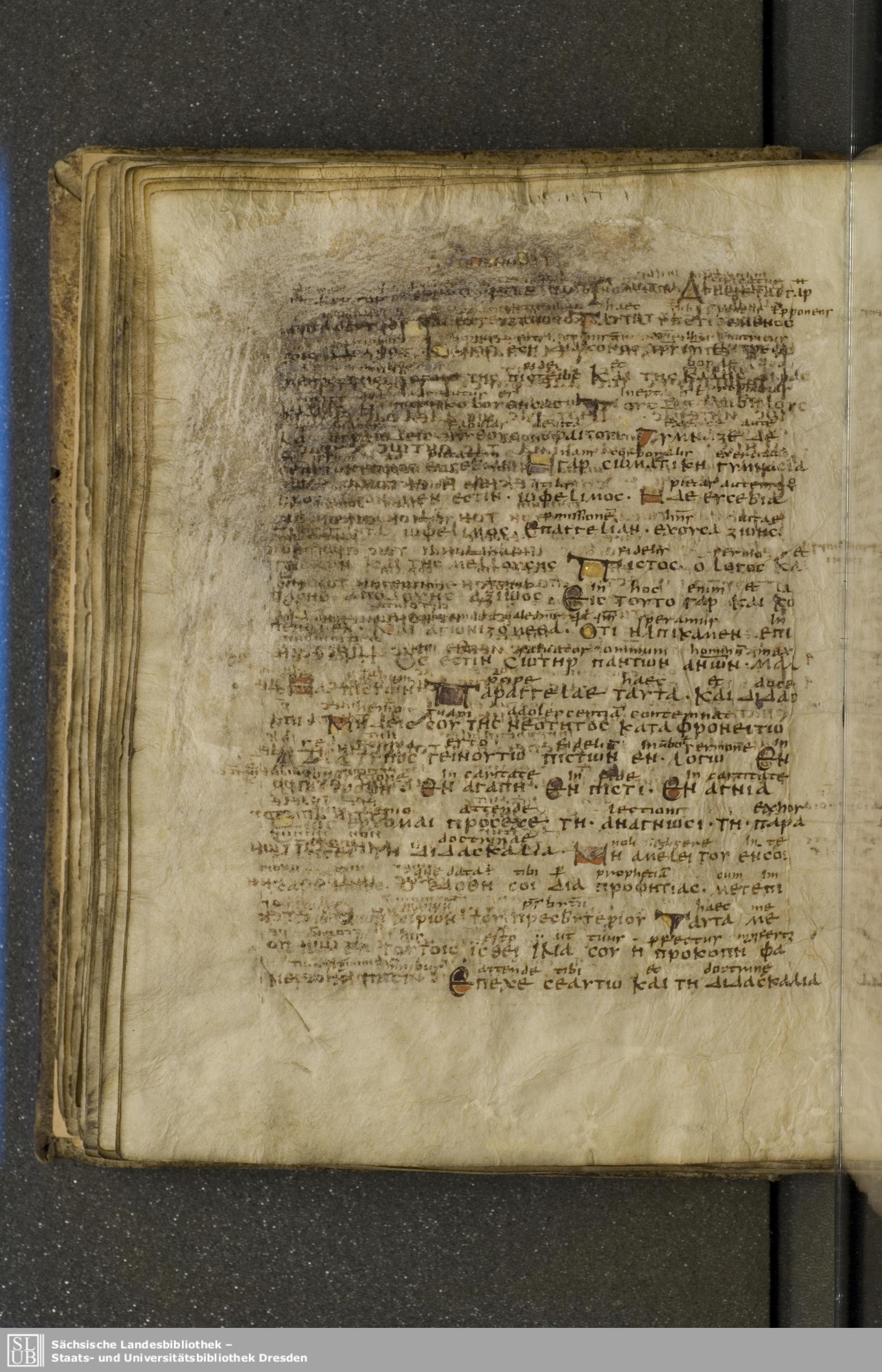 Codex Boernerianus showing 1 Timothy 4:13 from 9th Century found in Abbey of St. Gall, Switzerland, currently housed at Saxon State Library, Dresden, Germany