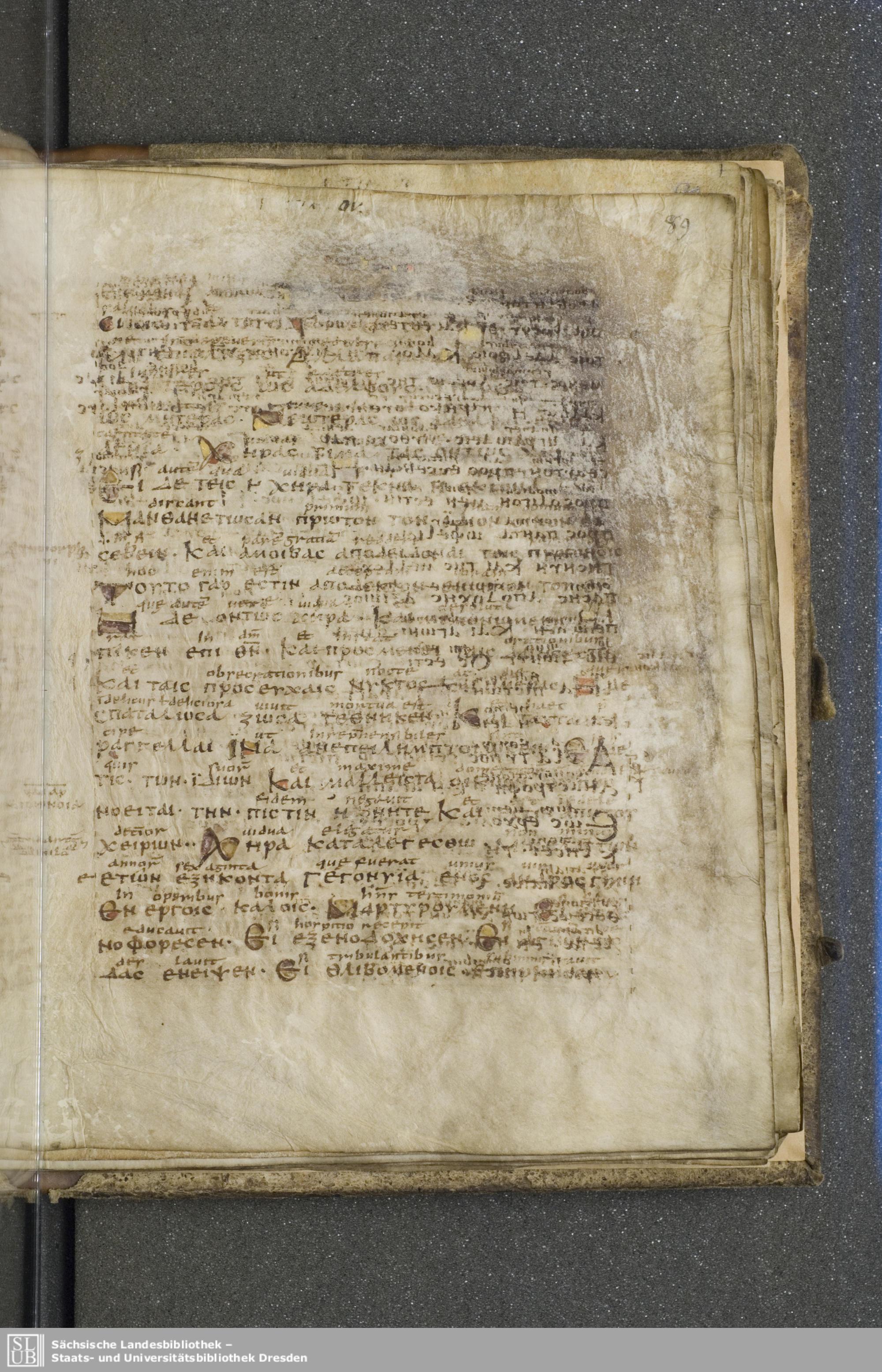 Codex Boernerianus showing 1 Timothy 5:2 from 9th Century found in Abbey of St. Gall, Switzerland, currently housed at Saxon State Library, Dresden, Germany