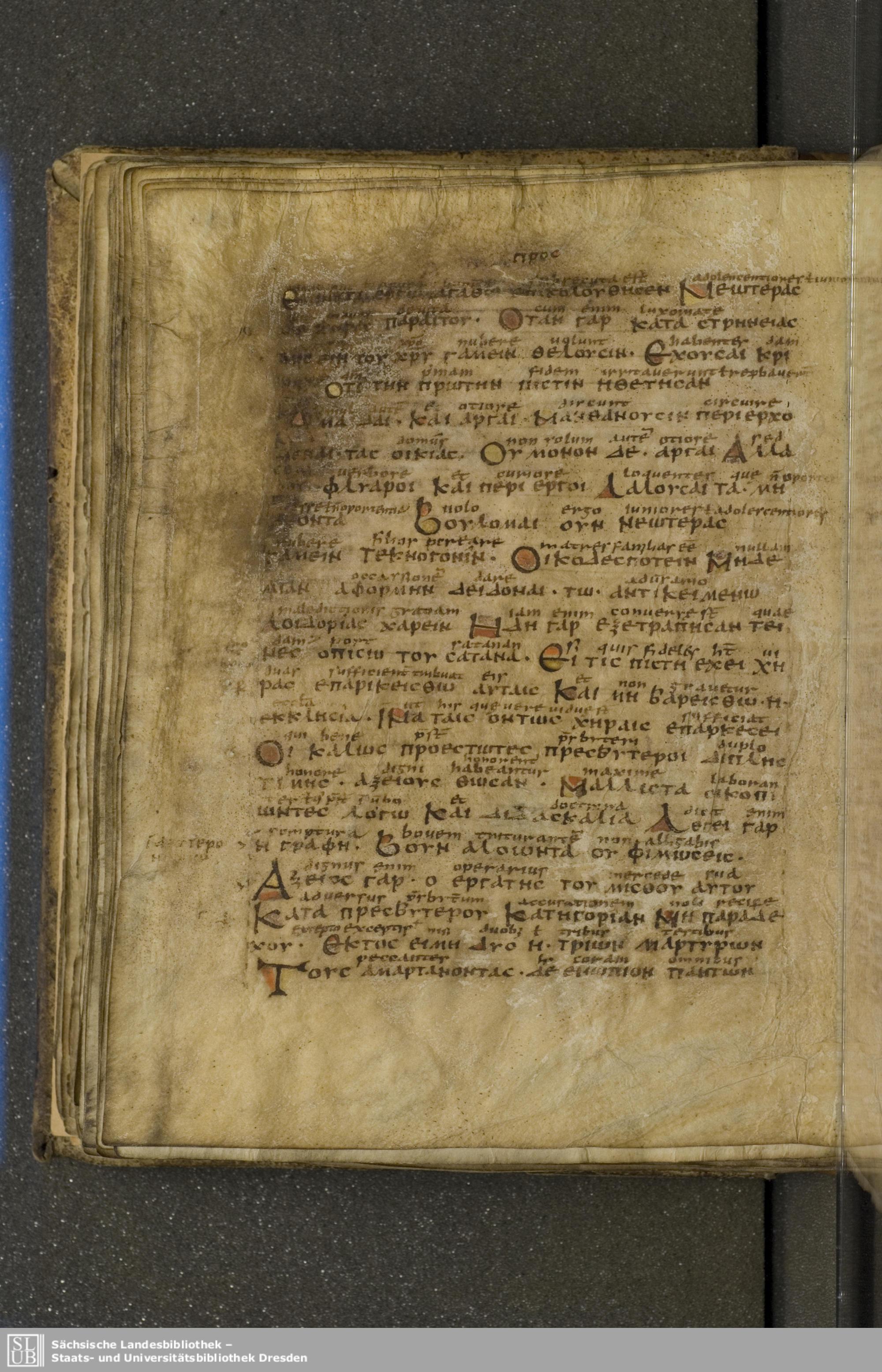 Codex Boernerianus showing 1 Timothy 5:13 from 9th Century found in Abbey of St. Gall, Switzerland, currently housed at Saxon State Library, Dresden, Germany