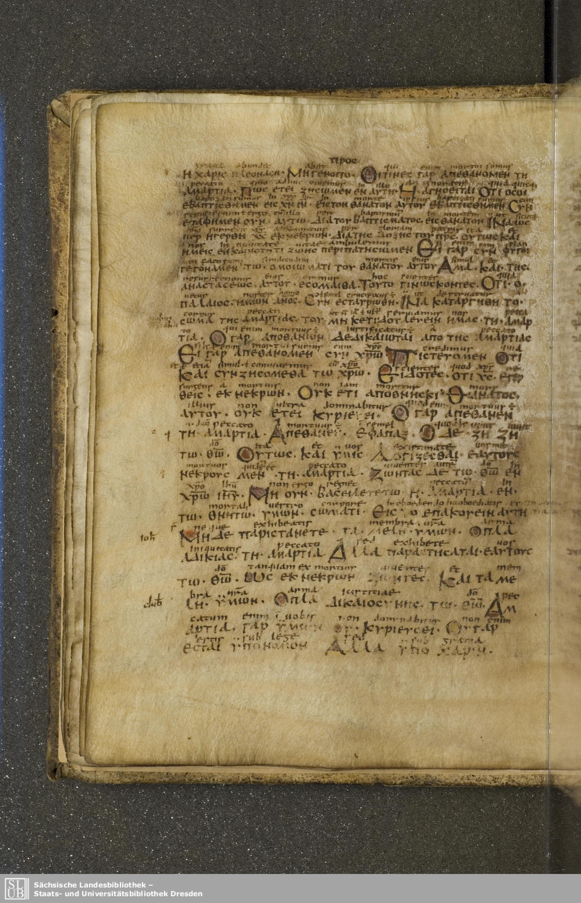Codex Boernerianus showing Romans 6:13 from 9th Century found in Abbey of St. Gall, Switzerland, currently housed at Saxon State Library, Dresden, Germany