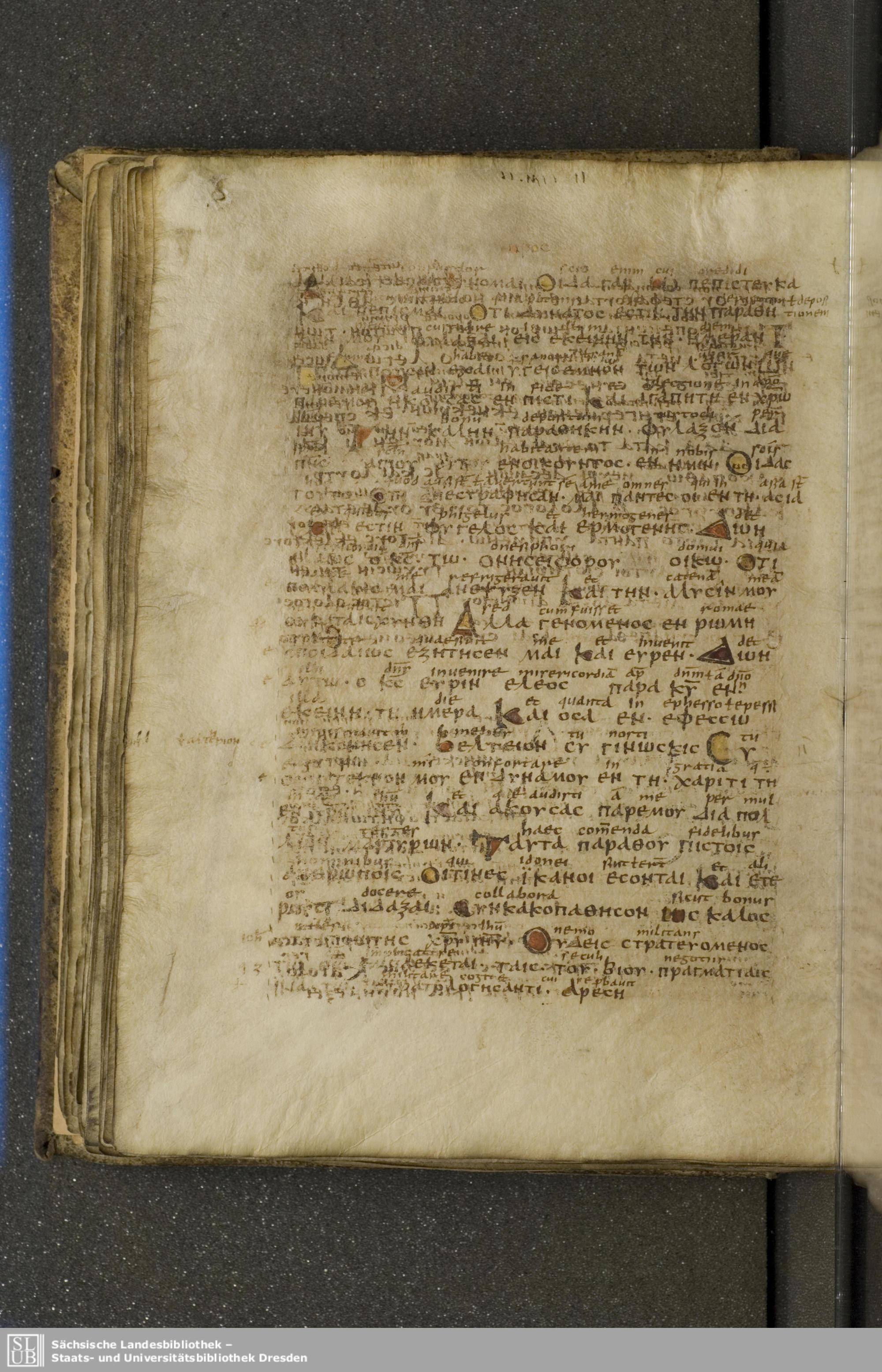 Codex Boernerianus showing 2 Timothy 1:13 from 9th Century found in Abbey of St. Gall, Switzerland, currently housed at Saxon State Library, Dresden, Germany