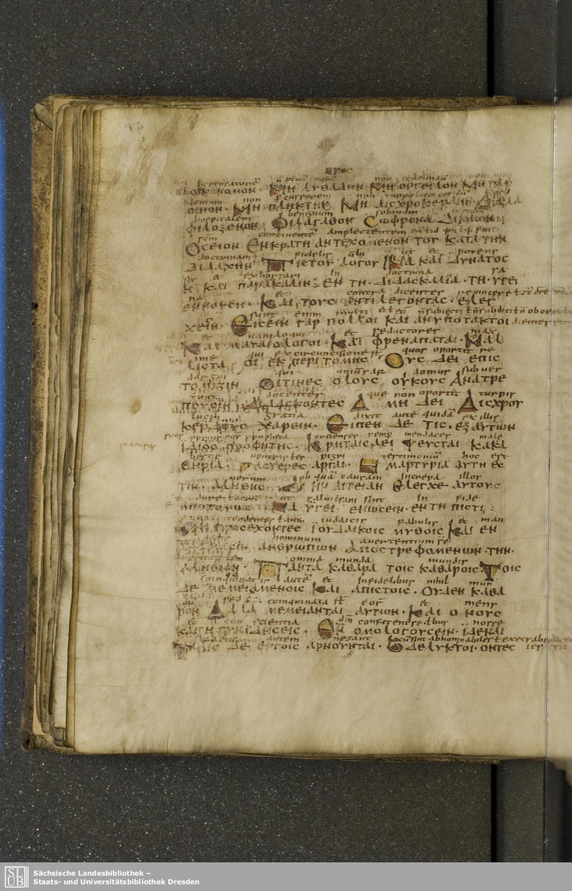 Codex Boernerianus showing Titus 1:13 from 9th Century found in Abbey of St. Gall, Switzerland, currently housed at Saxon State Library, Dresden, Germany