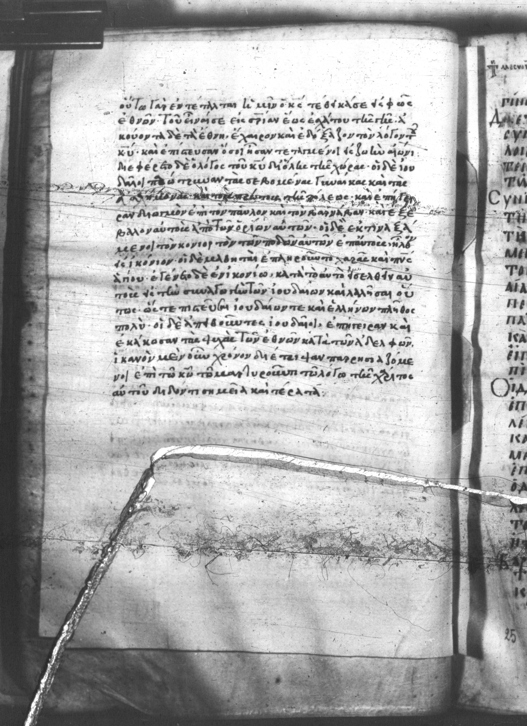 Codex Mutinensis showing Acts 13:48 from 9th Century, currently housed at Biblioteca Estense Universitaria, Modena