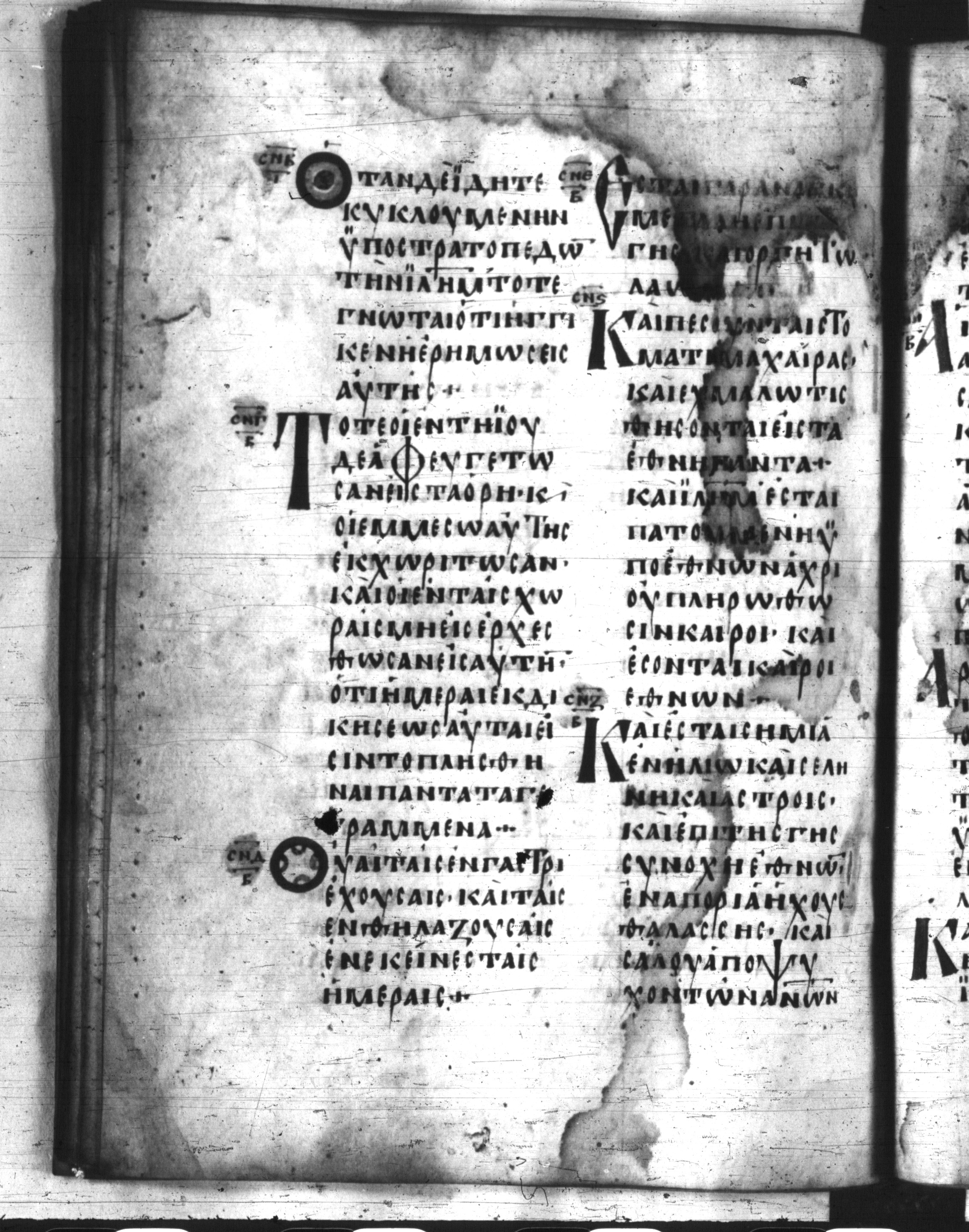 Codex Regius showing Luke 21:21 from 8th Century, currently housed at National Library of France, Paris