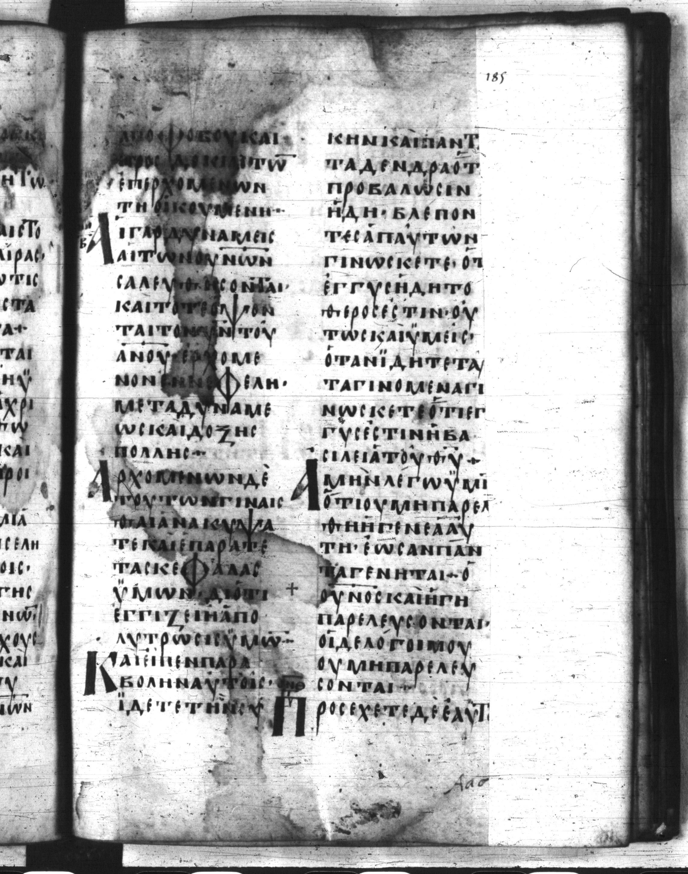 Codex Regius showing Luke 21:32 from 8th Century, currently housed at National Library of France, Paris