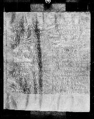Codex Petropolitanus Purpureus (Scan 2) showing Luke 2:49 from 6th Century found in Sarmisahly (or Sarumsahly), currently housed at National Library of Russia, Saint Petersburg (majority)