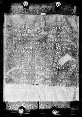 Codex Petropolitanus Purpureus showing Luke 13:8 from 6th Century found in Sarmisahly (or Sarumsahly), currently housed at National Library of Russia, Saint Petersburg (majority)