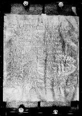 Codex Petropolitanus Purpureus showing Luke 20:13 from 6th Century found in Sarmisahly (or Sarumsahly), currently housed at National Library of Russia, Saint Petersburg (majority)