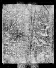 Codex Petropolitanus Purpureus (Scan 2) showing John 9:21 from 6th Century found in Sarmisahly (or Sarumsahly), currently housed at National Library of Russia, Saint Petersburg (majority)