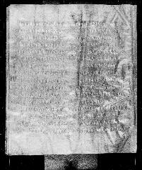 Codex Petropolitanus Purpureus (Scan 2) showing John 19:7 from 6th Century found in Sarmisahly (or Sarumsahly), currently housed at National Library of Russia, Saint Petersburg (majority)