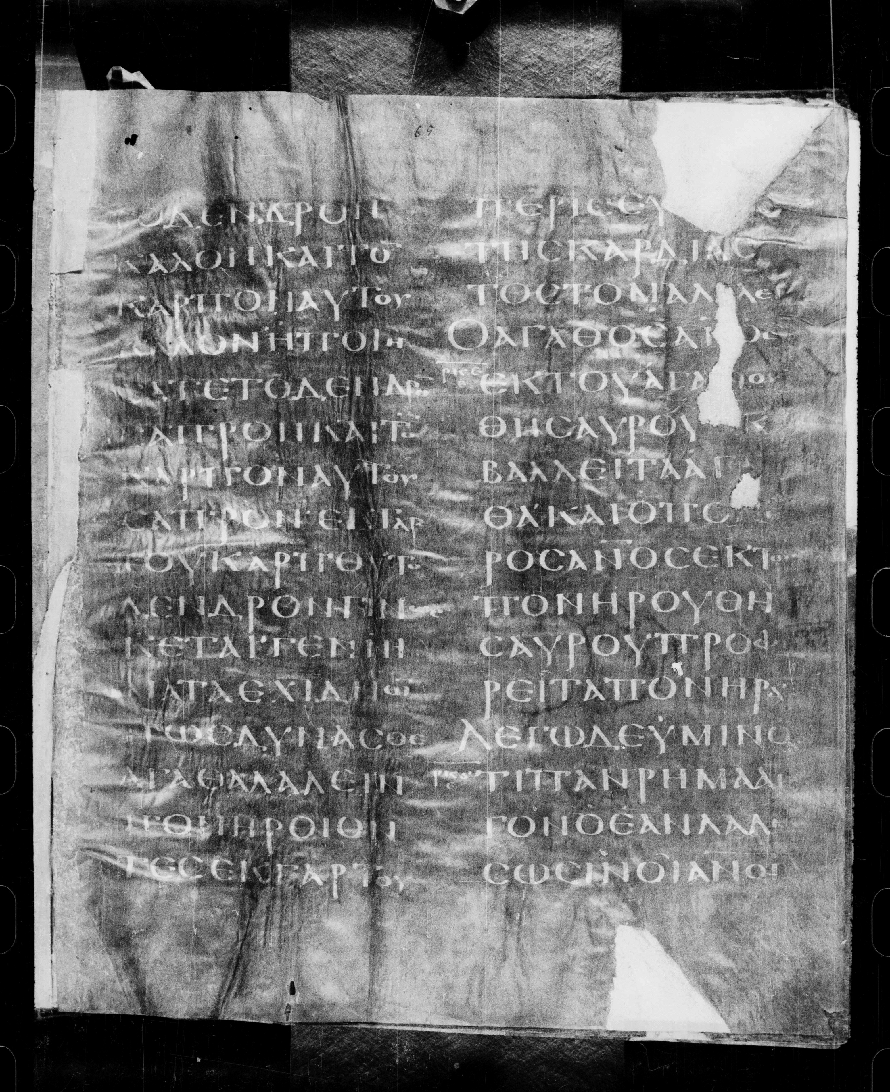 Codex Petropolitanus Purpureus (Scan 2) showing Matthew 12:33 from 6th Century found in Sarmisahly (or Sarumsahly), currently housed at National Library of Russia, Saint Petersburg (majority)