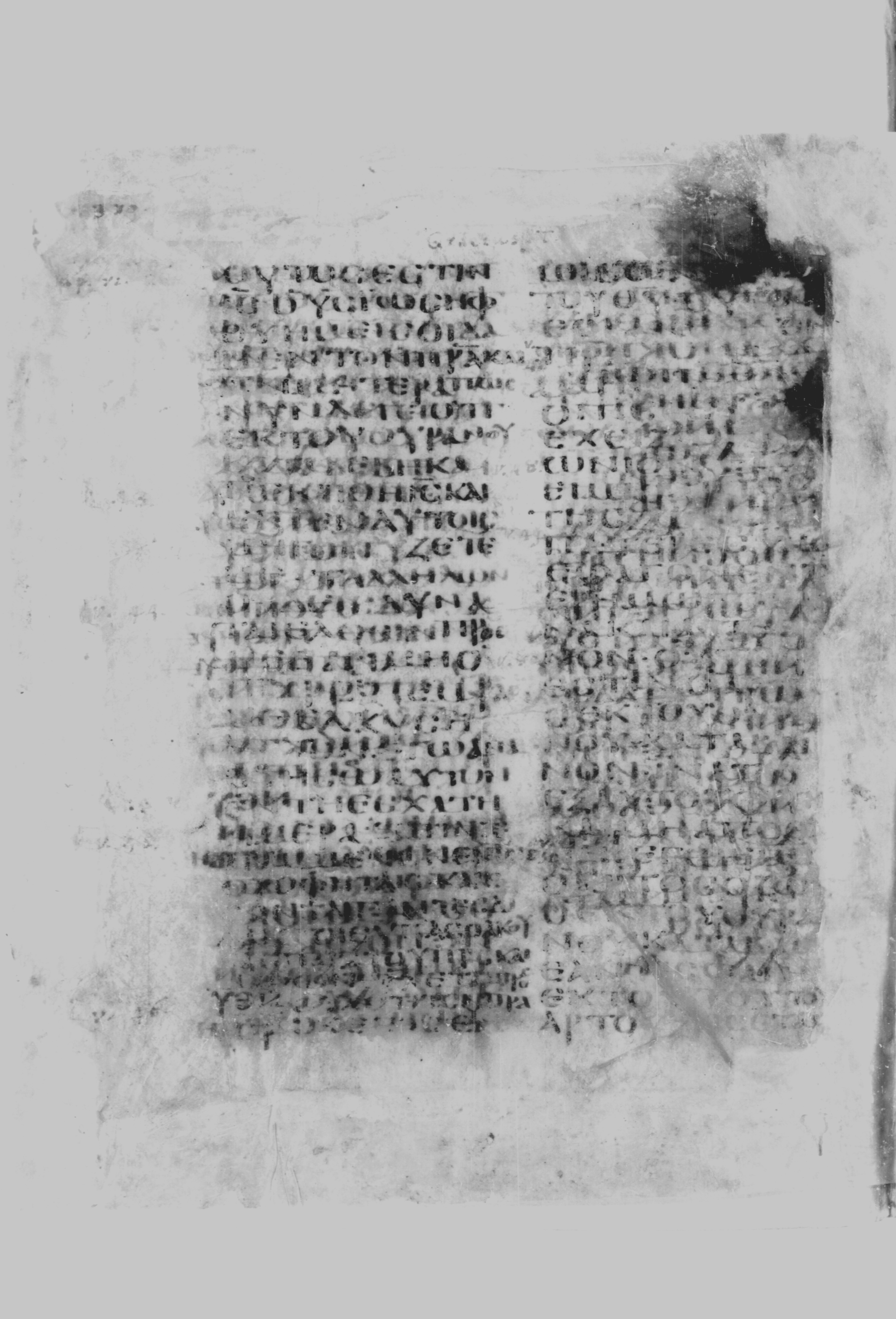 Codex Borgianus showing John 6:49 from 5th Century found in White Monastery, Egypt, currently housed at Vatican Library, Rome / Pierpont Morgan Library, New York / Bibliothèque nationale de France, Paris
