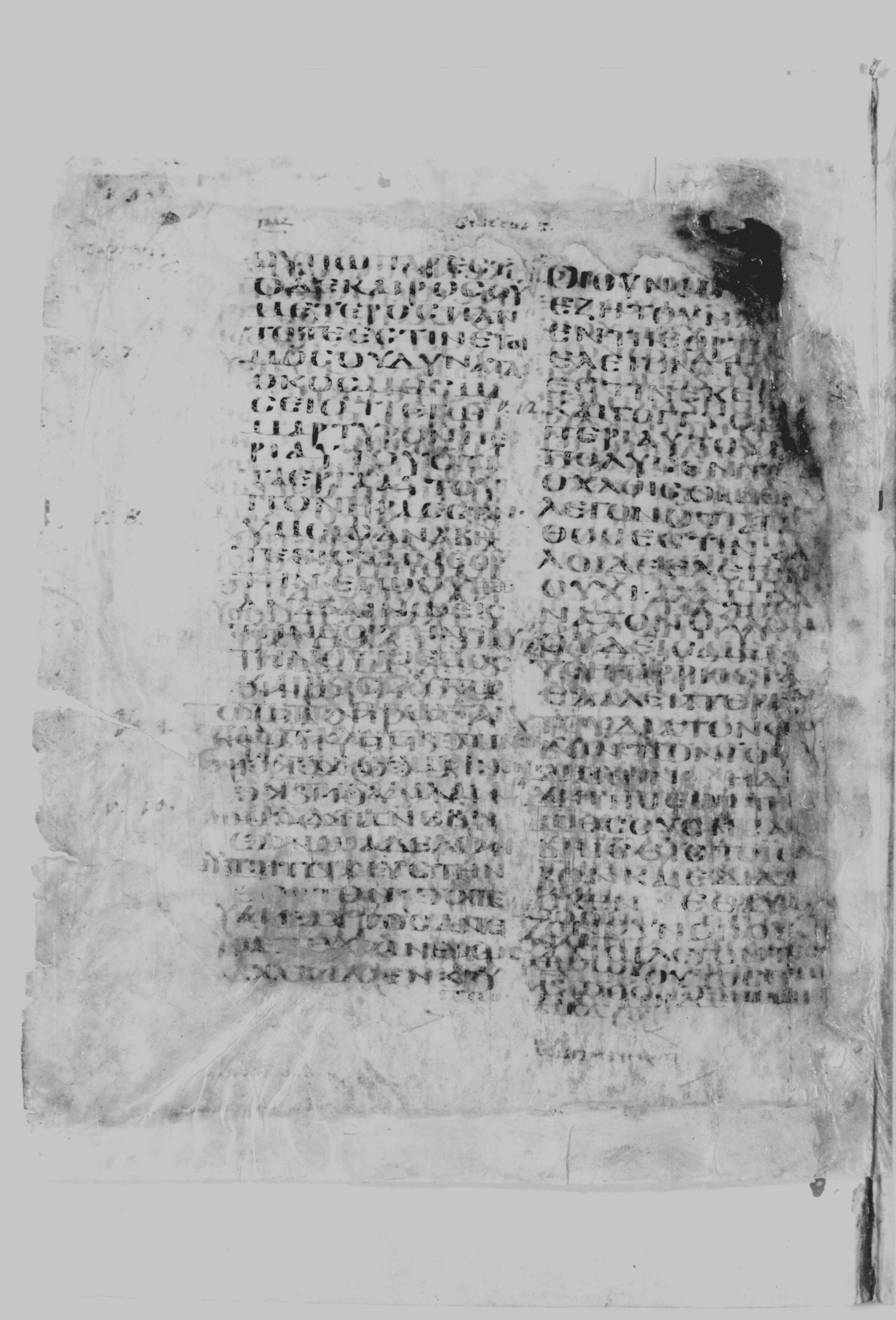 Codex Borgianus (Scan 2) showing John 7:6 from 5th Century found in White Monastery, Egypt, currently housed at Vatican Library, Rome / Pierpont Morgan Library, New York / Bibliothèque nationale de France, Paris