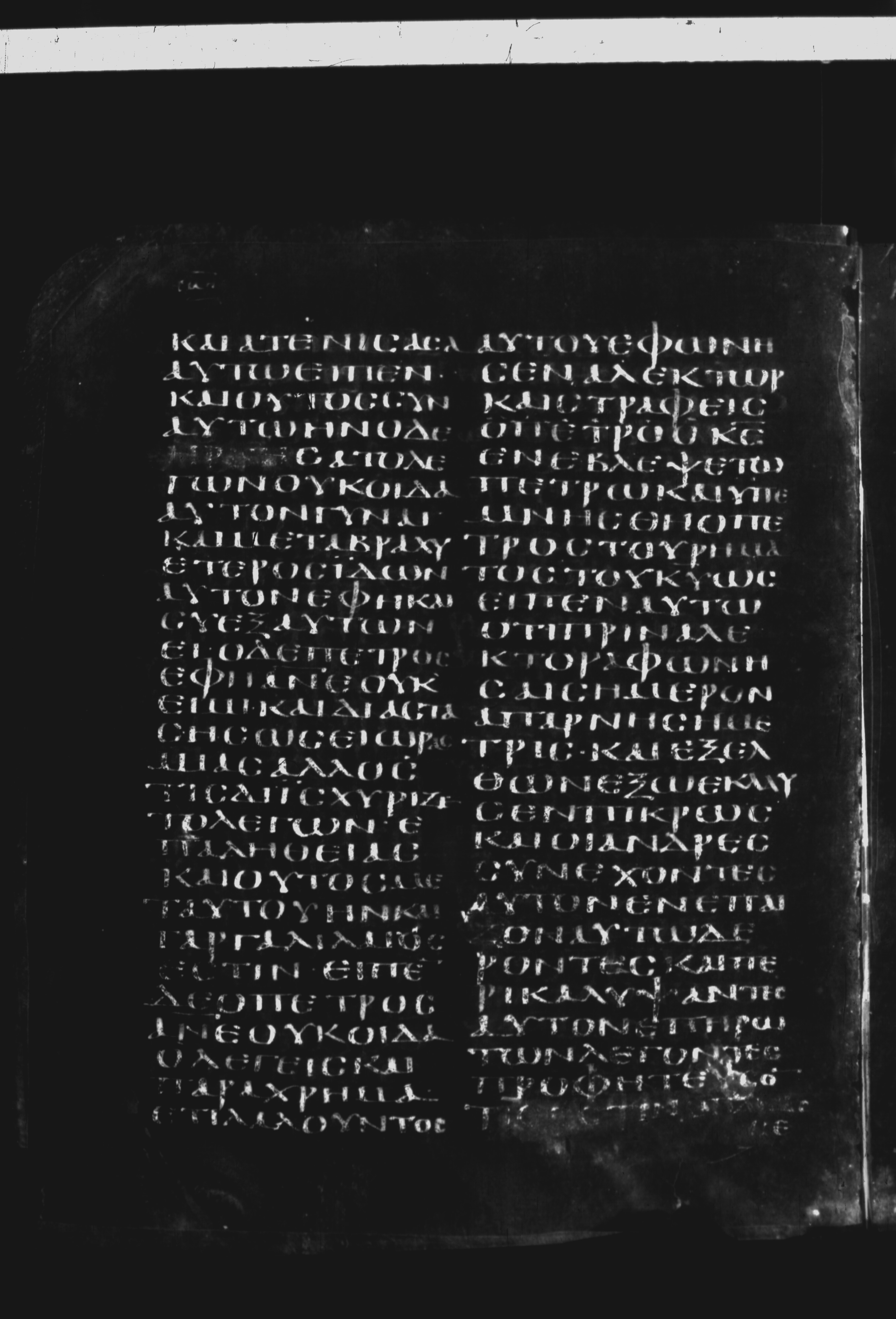 Codex Borgianus (Scan 5) showing Luke 22:56 from 5th Century found in White Monastery, Egypt, currently housed at Vatican Library, Rome / Pierpont Morgan Library, New York / Bibliothèque nationale de France, Paris