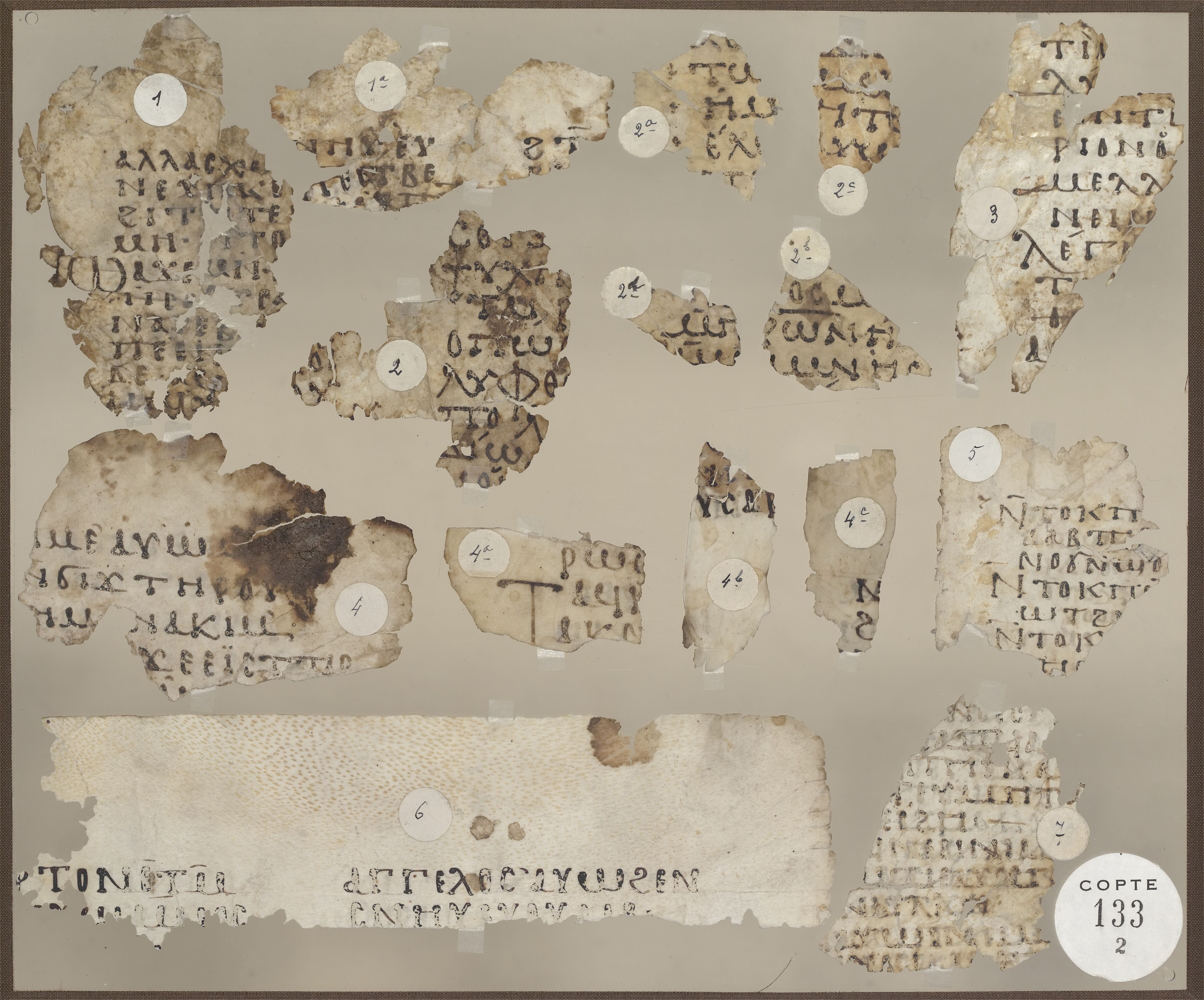 Uncial 0305 showing Matthew 20:22 from 5th Century, currently housed at Bibliothèque nationale de France, Paris
