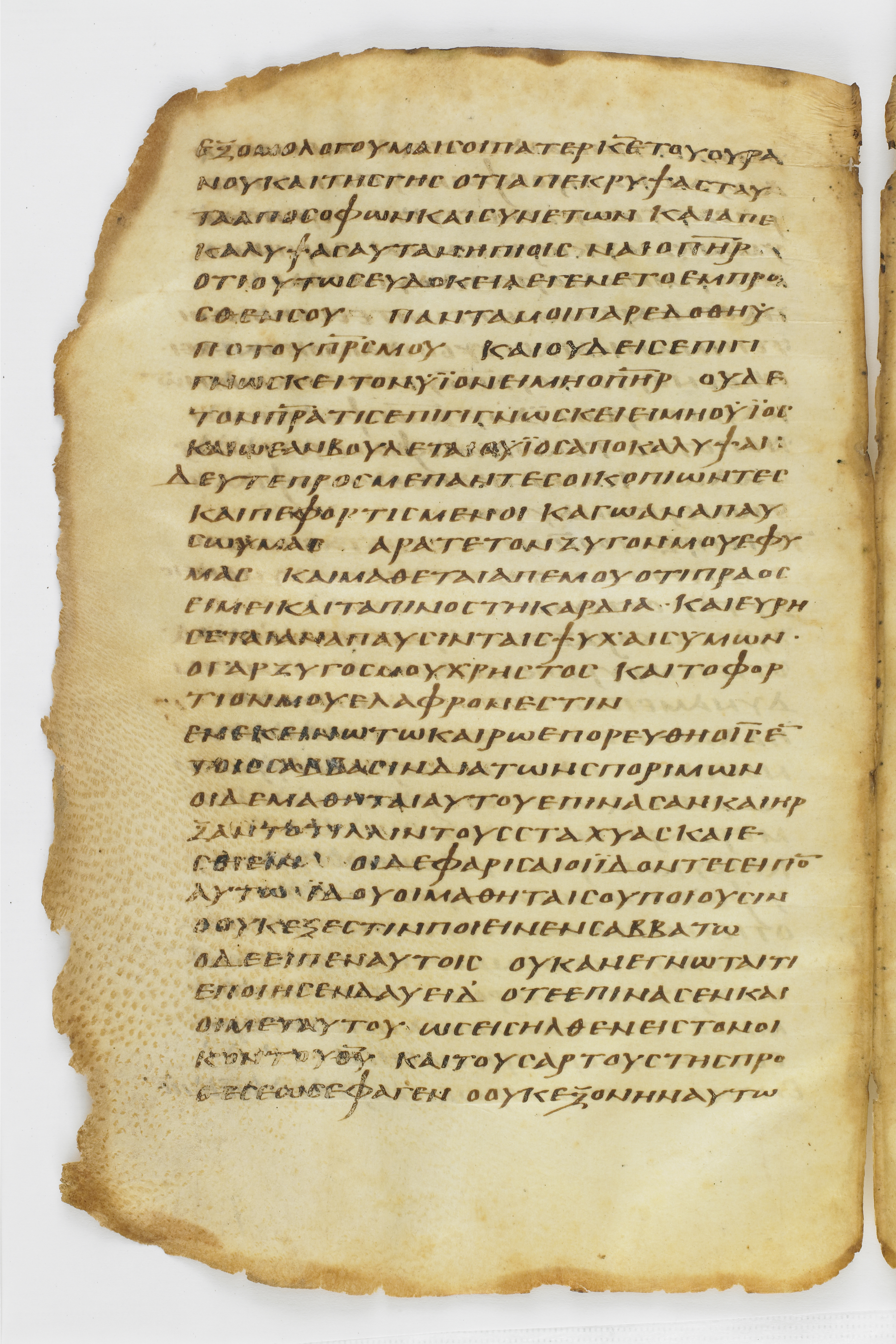 Codex Washingtonianus showing Matthew 12:2 from Late 4th to 5th Century found in Egypt (possibly near the Pyramids), currently housed at Freer Gallery of Art, Smithsonian Institution, Washington, D.C.