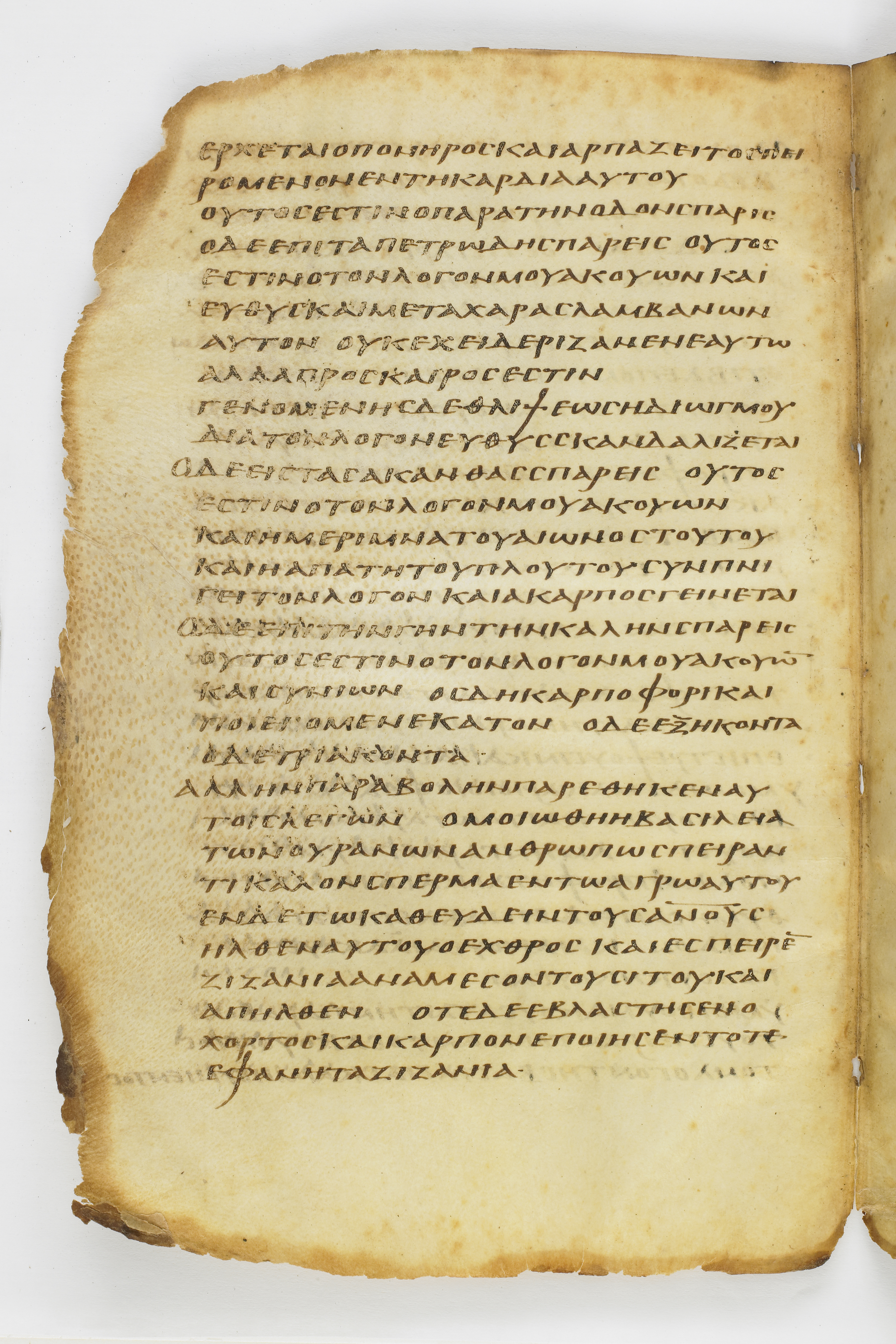 Codex Washingtonianus showing Matthew 13:21 from Late 4th to 5th Century found in Egypt (possibly near the Pyramids), currently housed at Freer Gallery of Art, Smithsonian Institution, Washington, D.C.