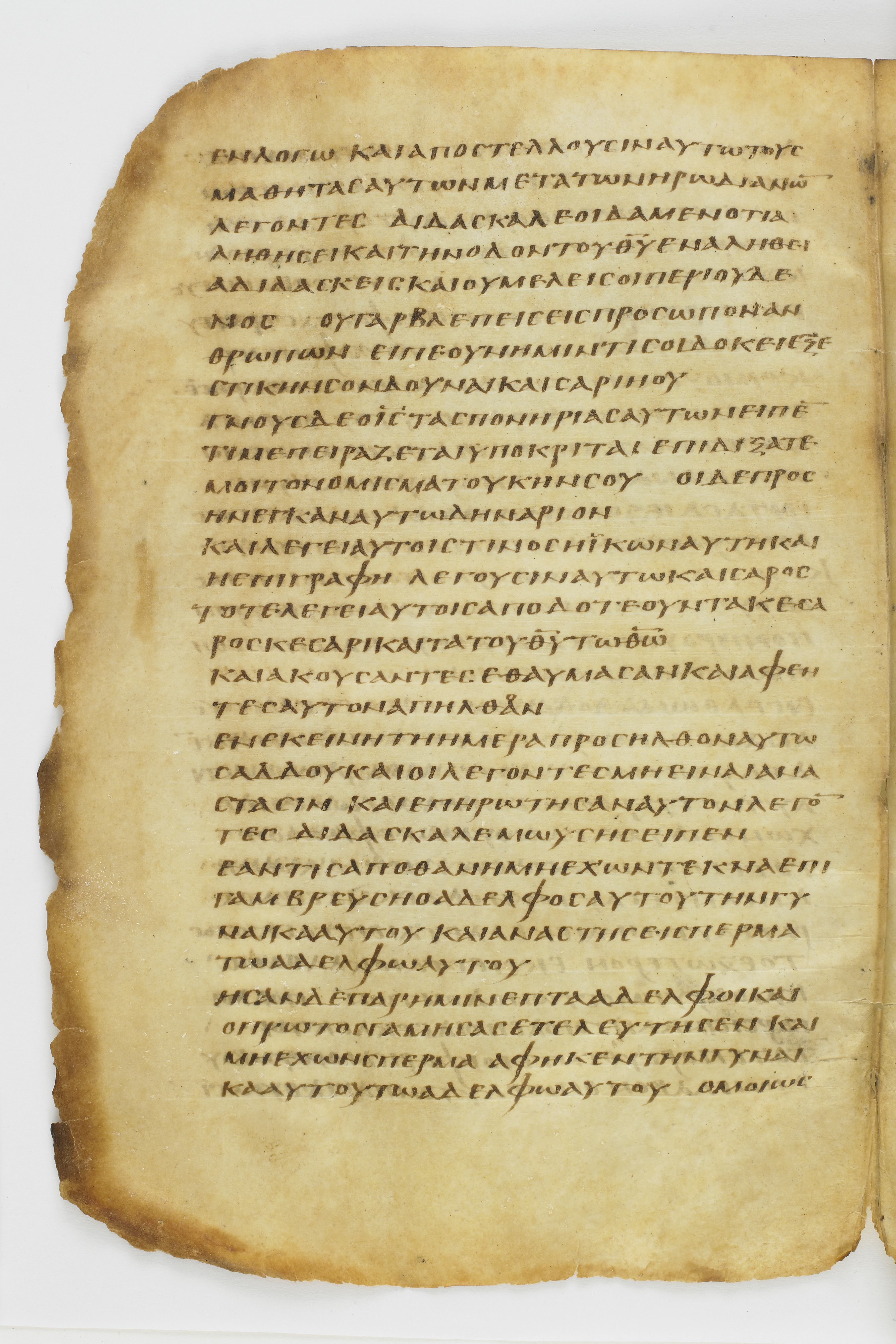 Codex Washingtonianus showing Matthew 22:16 from Late 4th to 5th Century found in Egypt (possibly near the Pyramids), currently housed at Freer Gallery of Art, Smithsonian Institution, Washington, D.C.