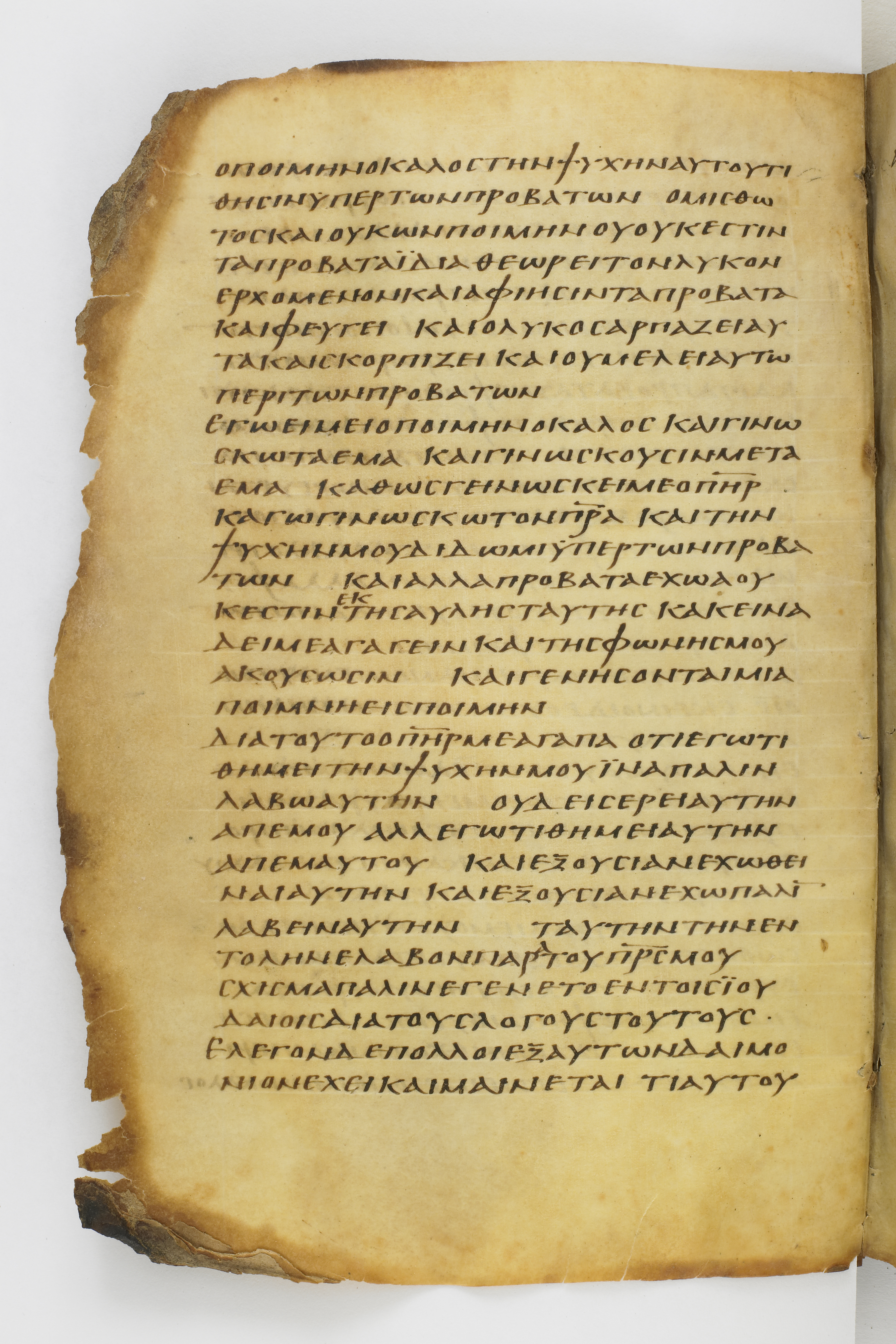 Codex Washingtonianus showing John 10:13 from Late 4th to 5th Century found in Egypt (possibly near the Pyramids), currently housed at Freer Gallery of Art, Smithsonian Institution, Washington, D.C.