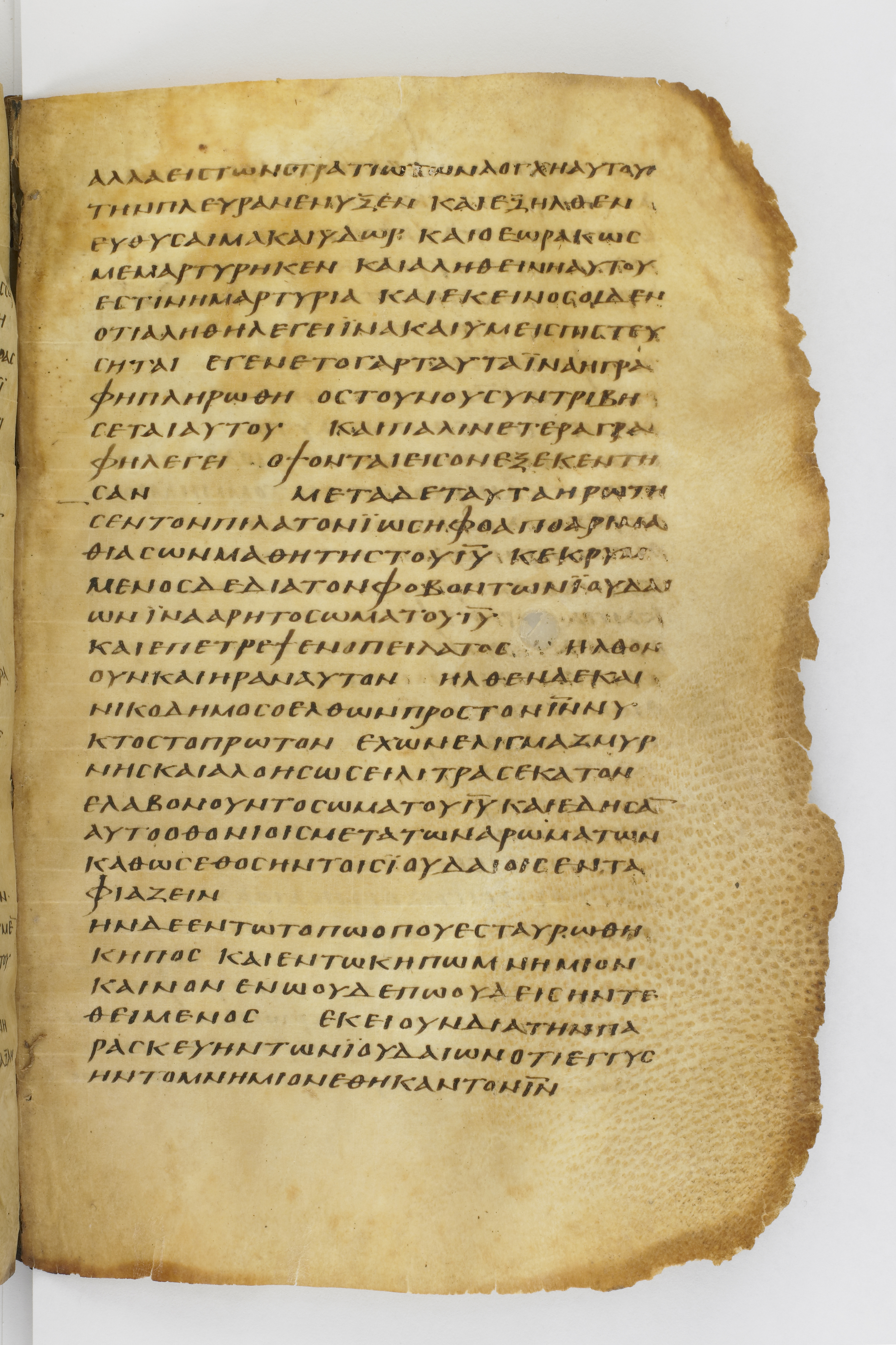 Codex Washingtonianus showing John 19:39 from Late 4th to 5th Century found in Egypt (possibly near the Pyramids), currently housed at Freer Gallery of Art, Smithsonian Institution, Washington, D.C.