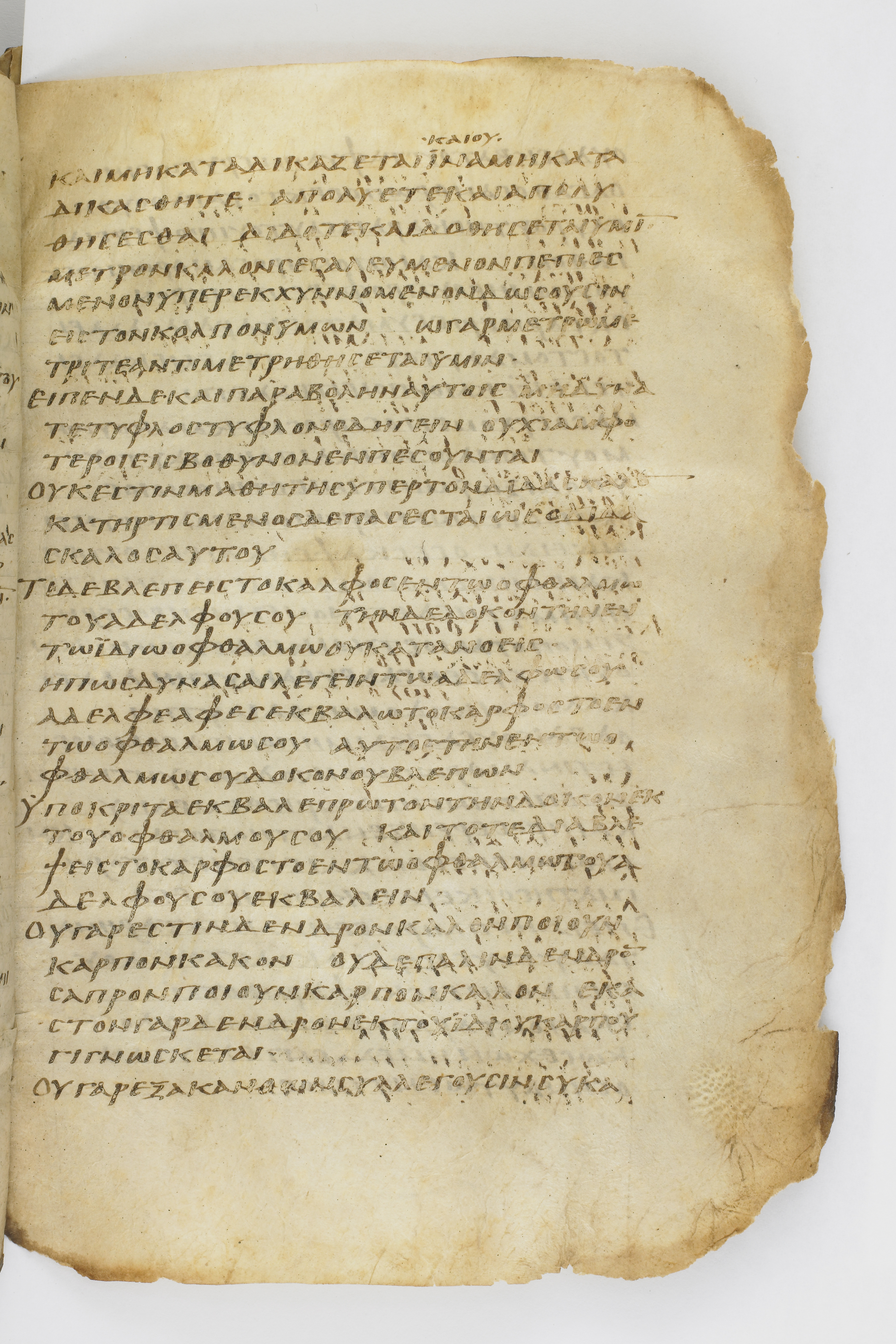 Codex Washingtonianus showing Luke 6:39 from Late 4th to 5th Century found in Egypt (possibly near the Pyramids), currently housed at Freer Gallery of Art, Smithsonian Institution, Washington, D.C.
