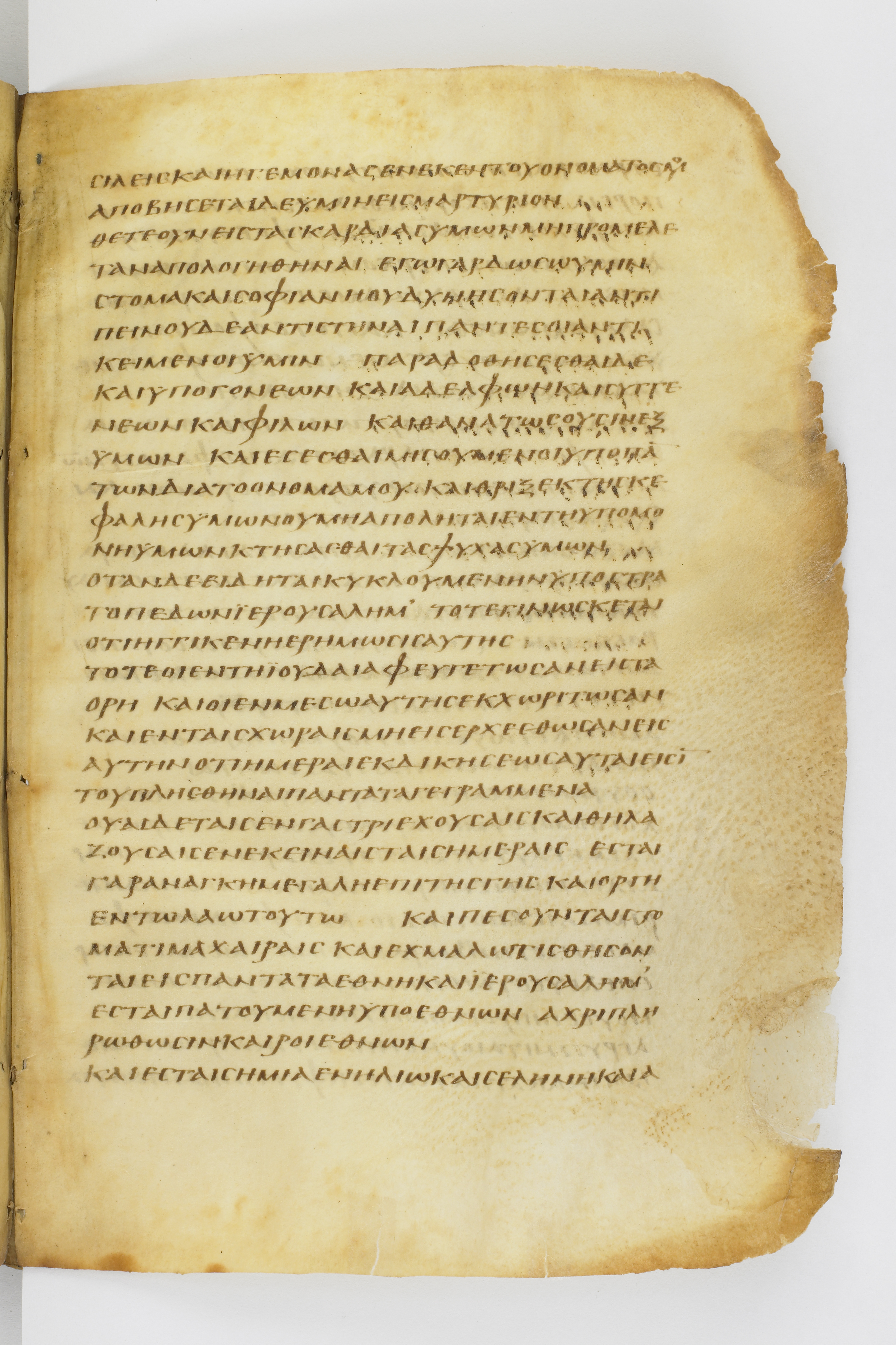 Codex Washingtonianus showing Luke 21:21 from Late 4th to 5th Century found in Egypt (possibly near the Pyramids), currently housed at Freer Gallery of Art, Smithsonian Institution, Washington, D.C.