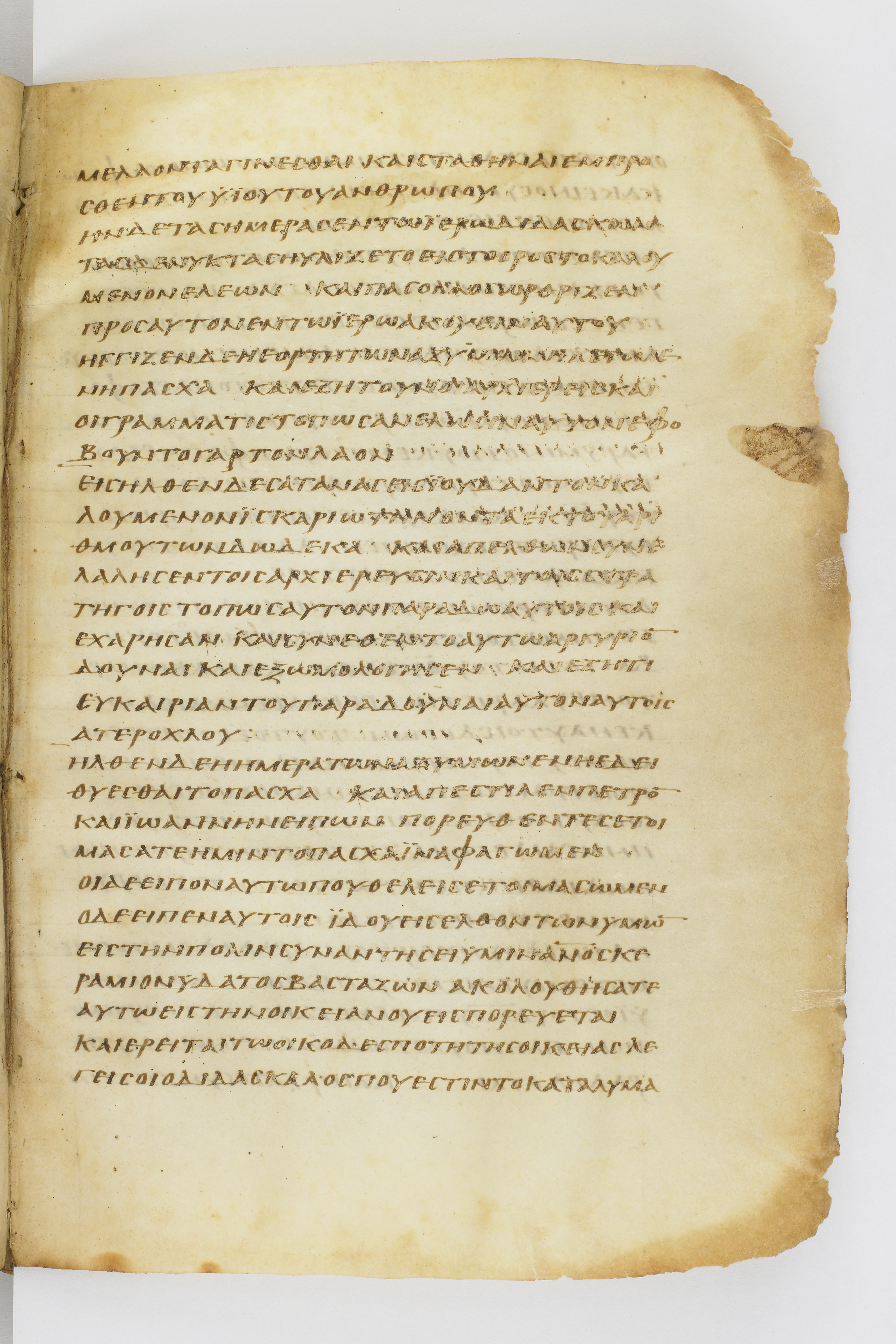 Codex Washingtonianus (Scan 2) showing Luke 21:36 from Late 4th to 5th Century found in Egypt (possibly near the Pyramids), currently housed at Freer Gallery of Art, Smithsonian Institution, Washington, D.C.