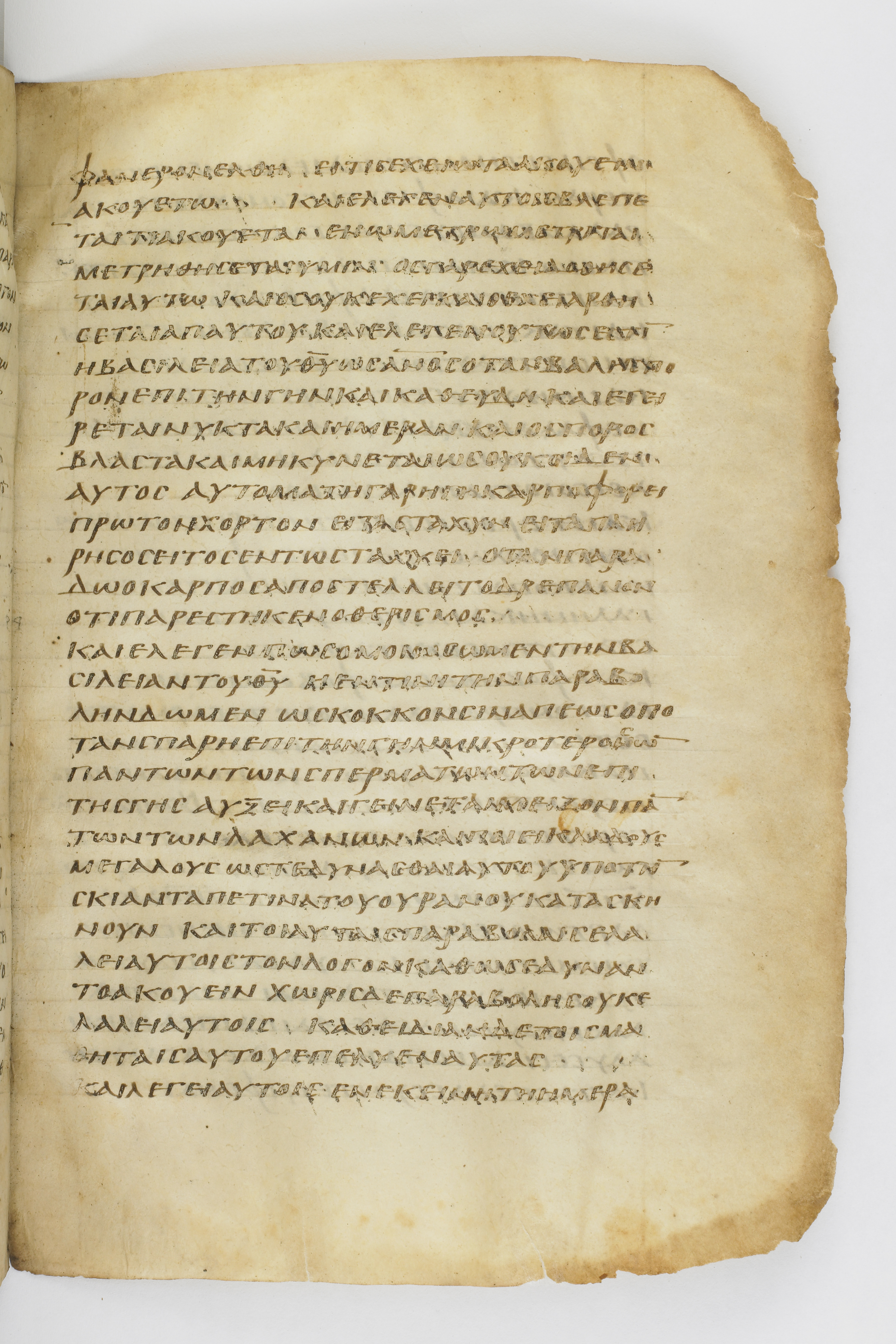 Codex Washingtonianus showing Mark 4:32 from Late 4th to 5th Century found in Egypt (possibly near the Pyramids), currently housed at Freer Gallery of Art, Smithsonian Institution, Washington, D.C.